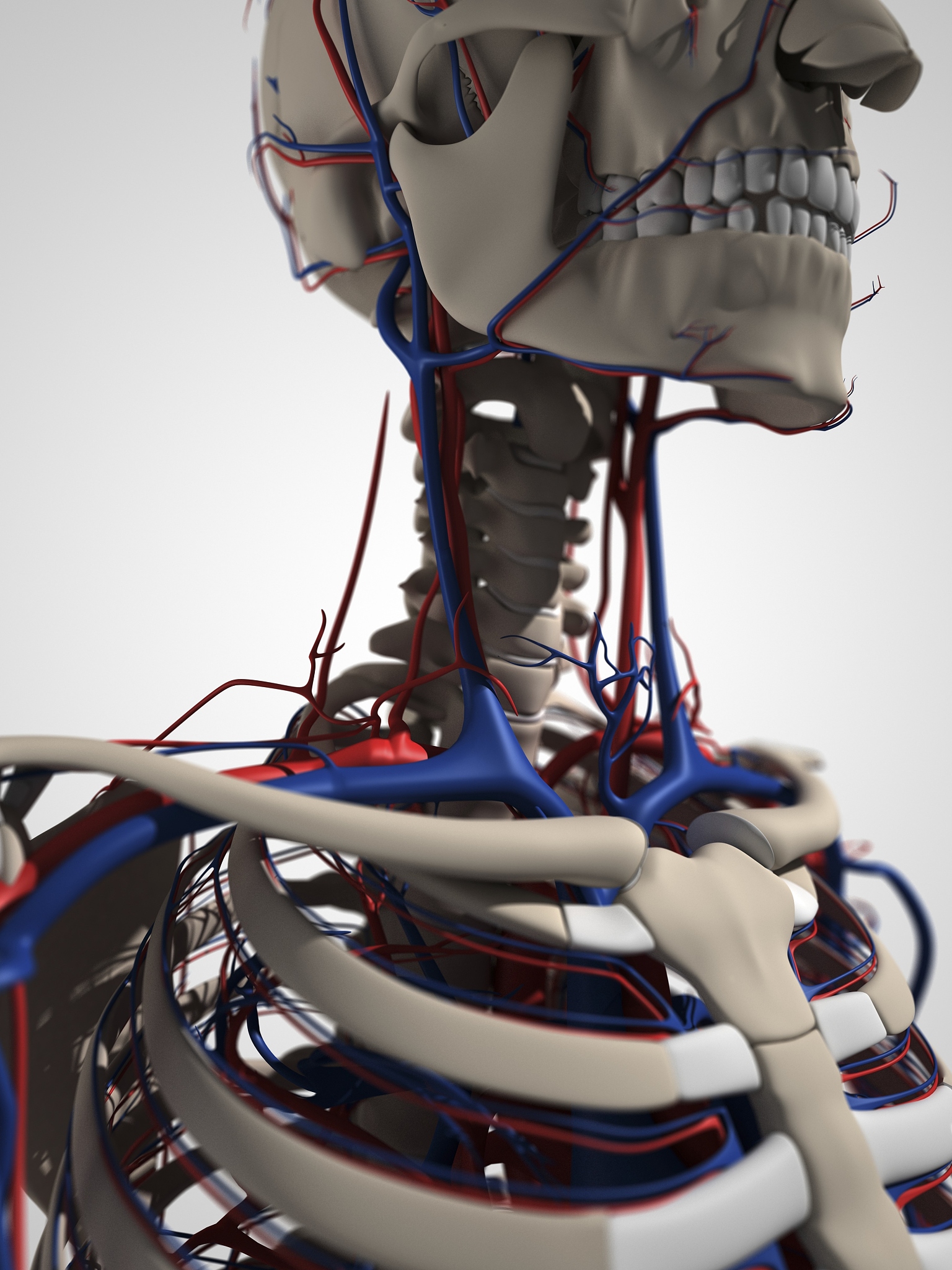 宁海第一职业学校2022年专业设置：涵盖机电、电子信息、建筑等多个领域