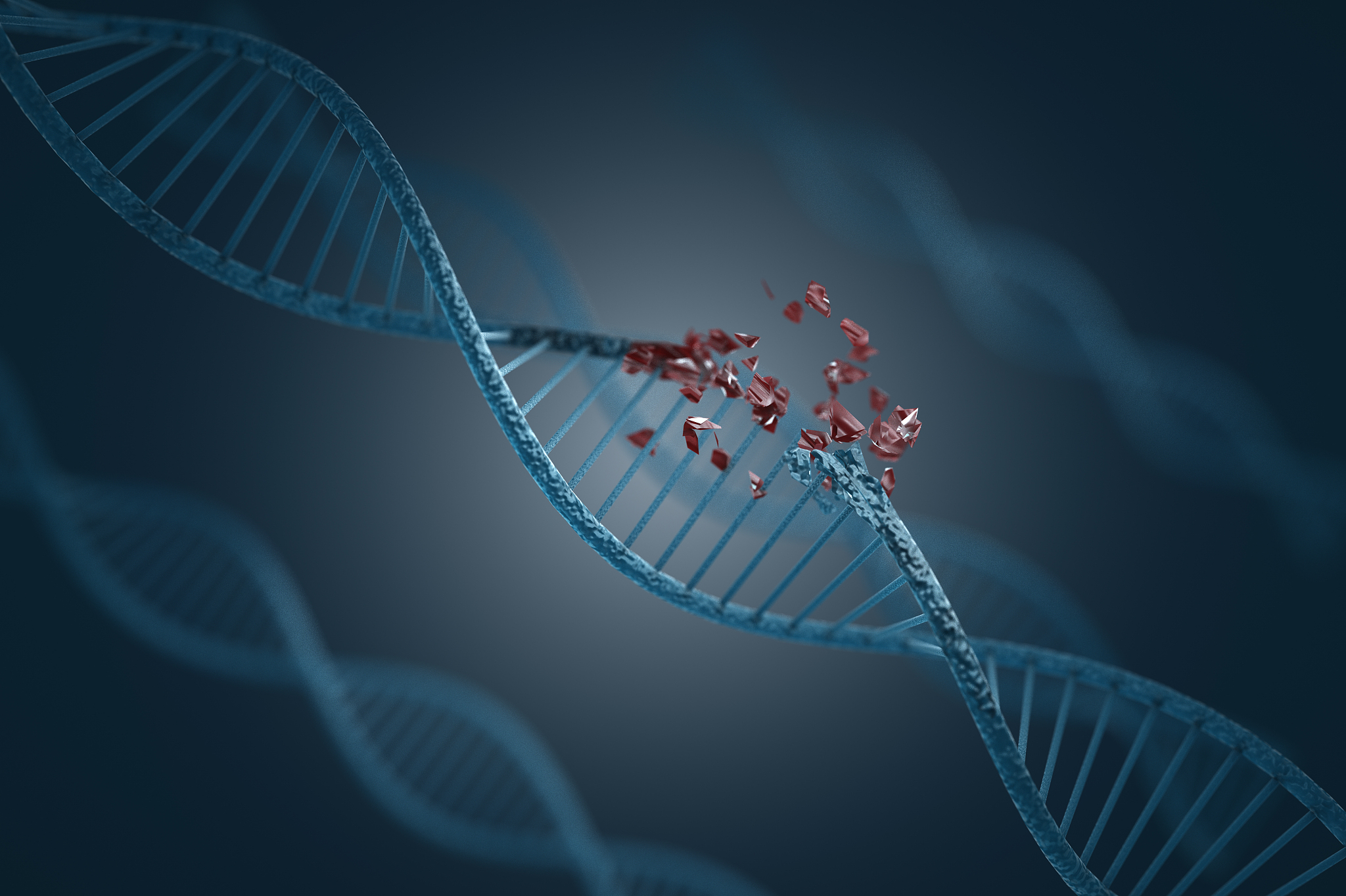 p53基因最早发现在什么生物中