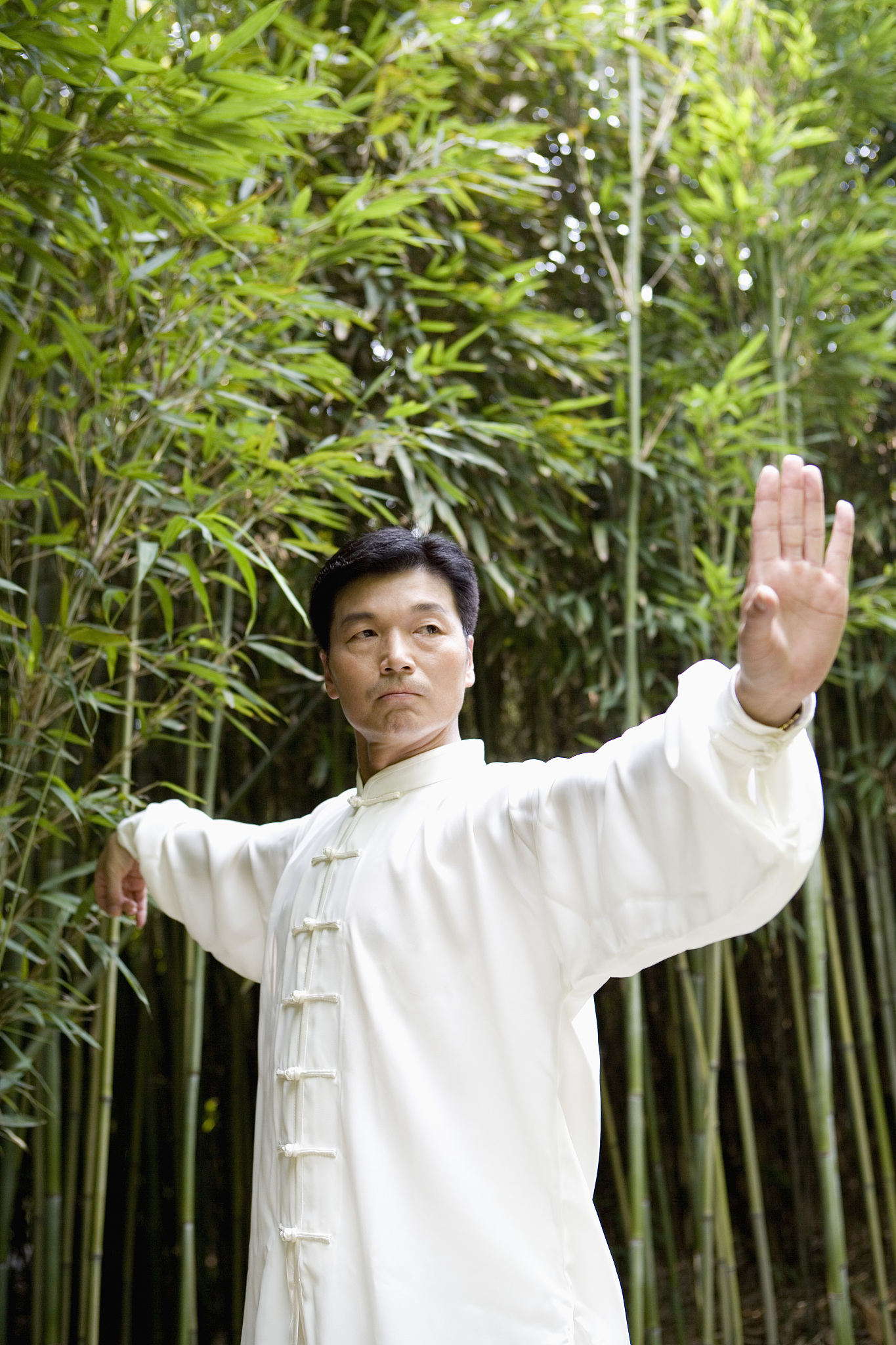 太极拳静桩有哪些？