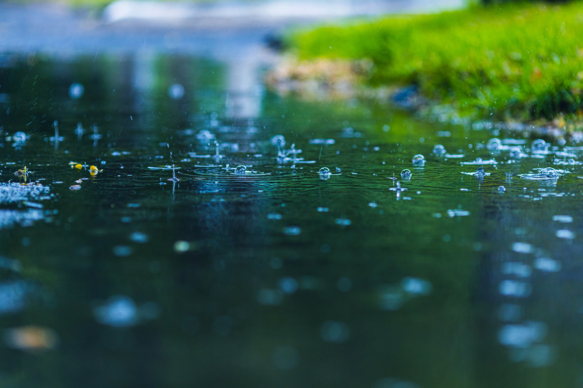雨中诗篇：一首关于下雨的诗歌