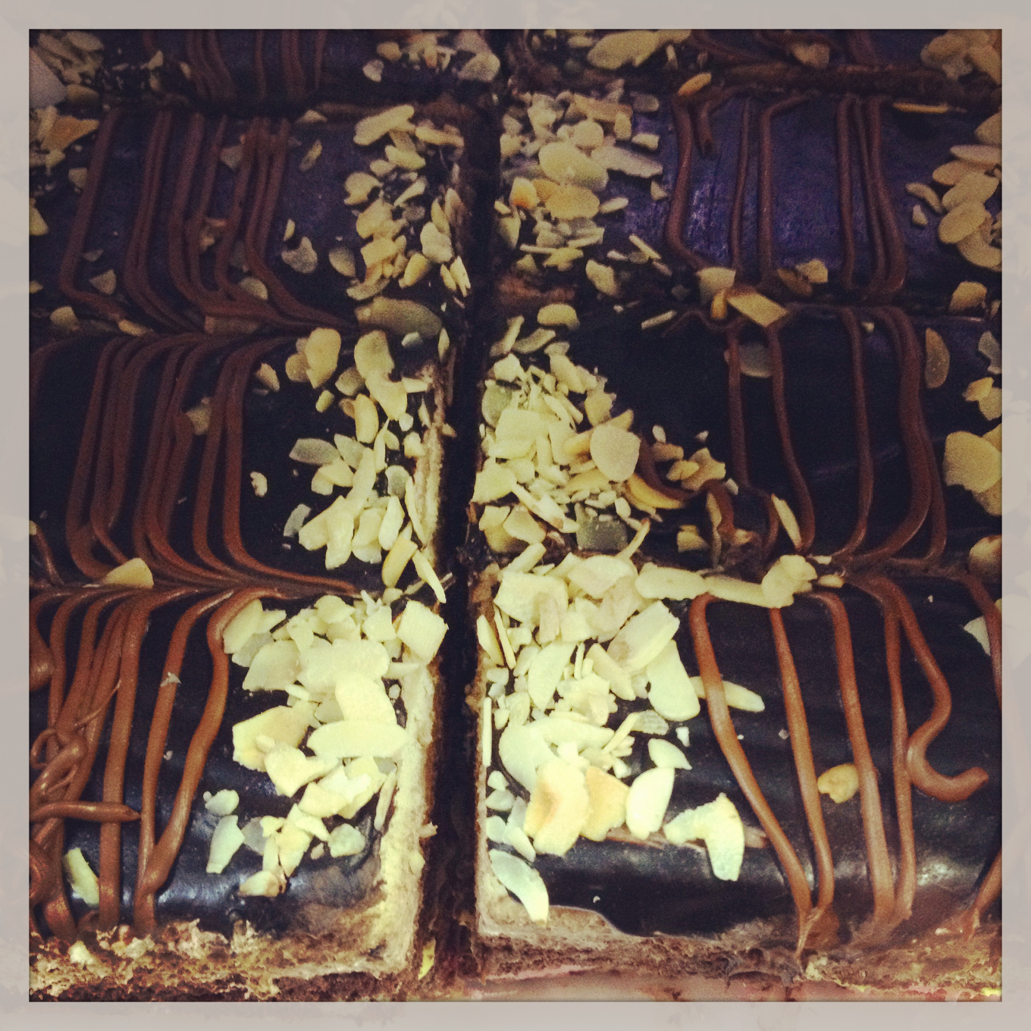 翻译：因此颈动脉斑块内新生血管、斑块破裂形成的漂浮血栓和溃疡是一个连锁的过程在这个过程中形成的漂浮血栓脱落是导致卒中的原因