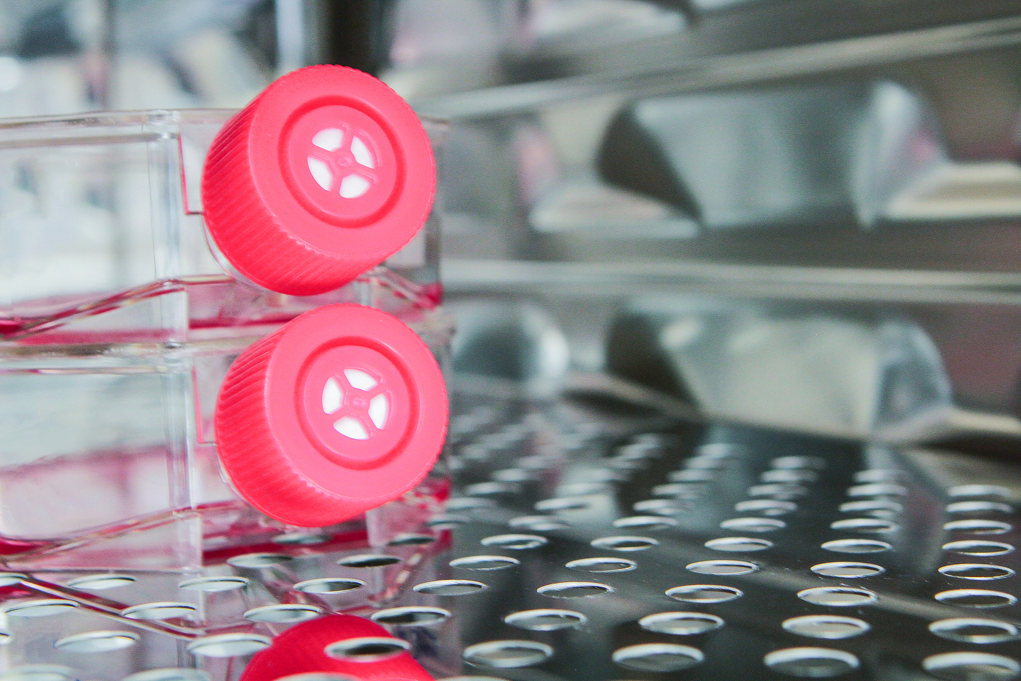 江西生物科技职业学院观光农业专业怎么样？前景、师资、就业分析