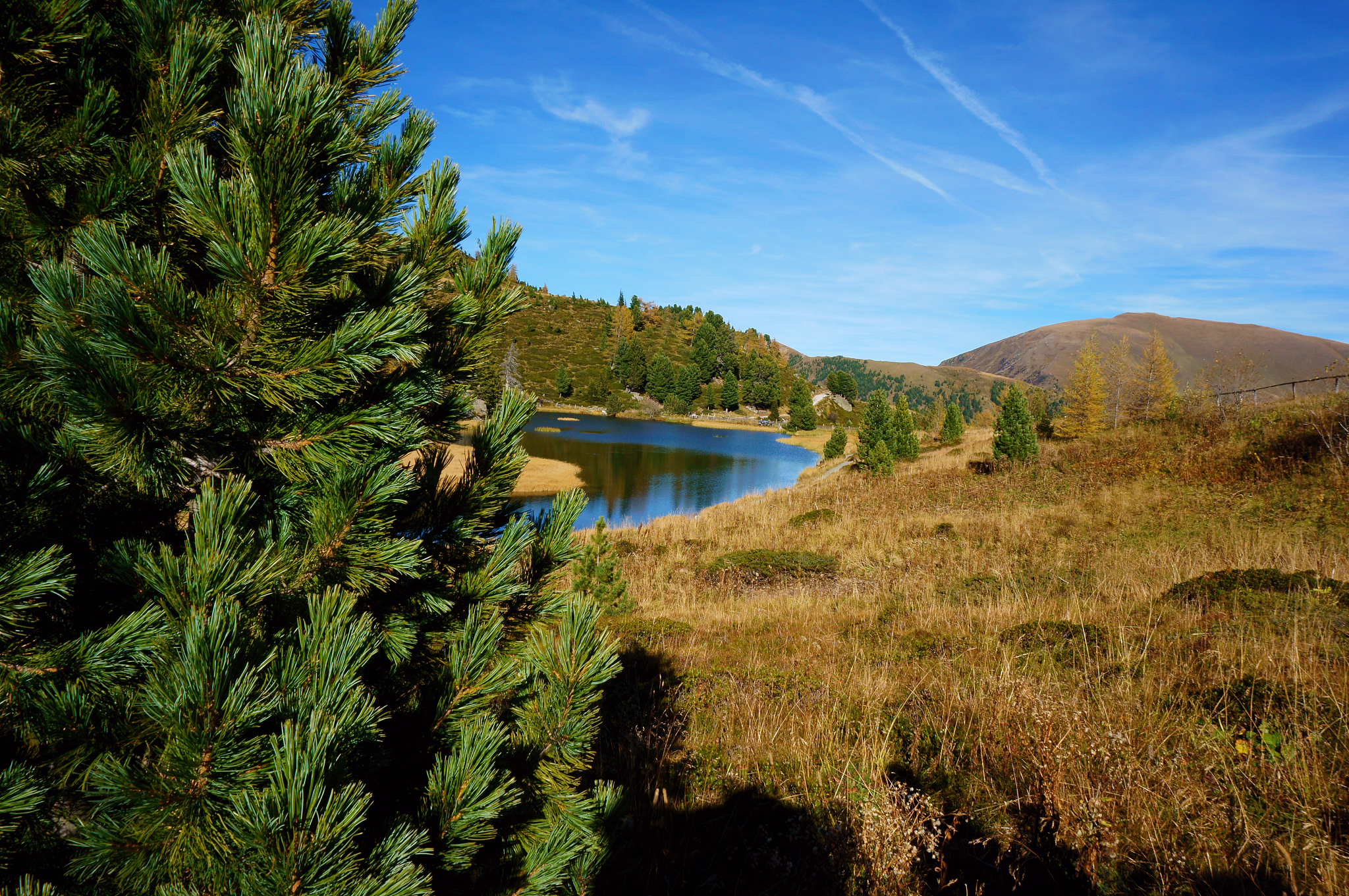 Exploring Nanjing: Xuanwu Lake, Red Mountain Zoo, Qinhuai River, Laomendong & Nanjing Dapaidang