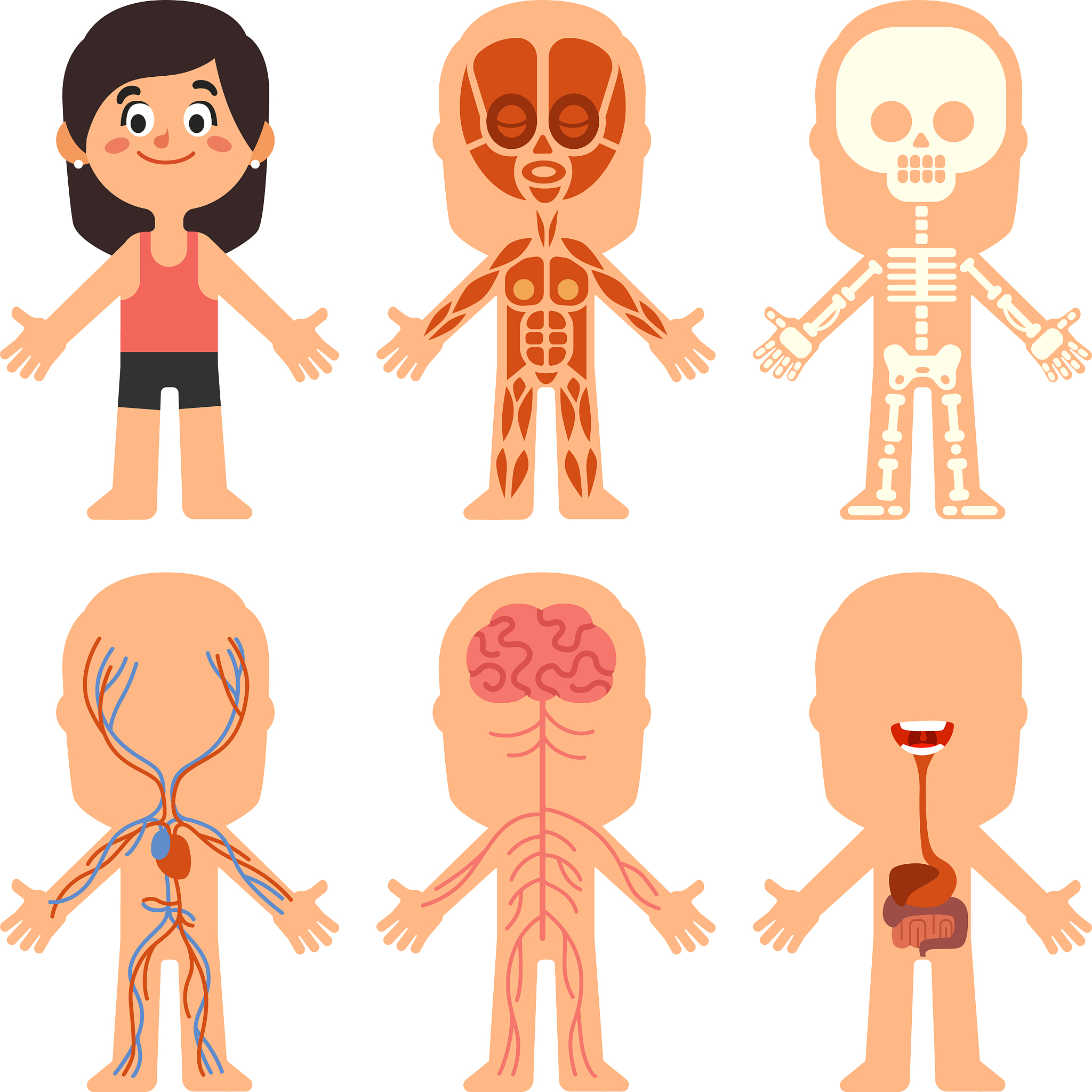 女人和女孩的区别：从生理、心理、外表等方面解析