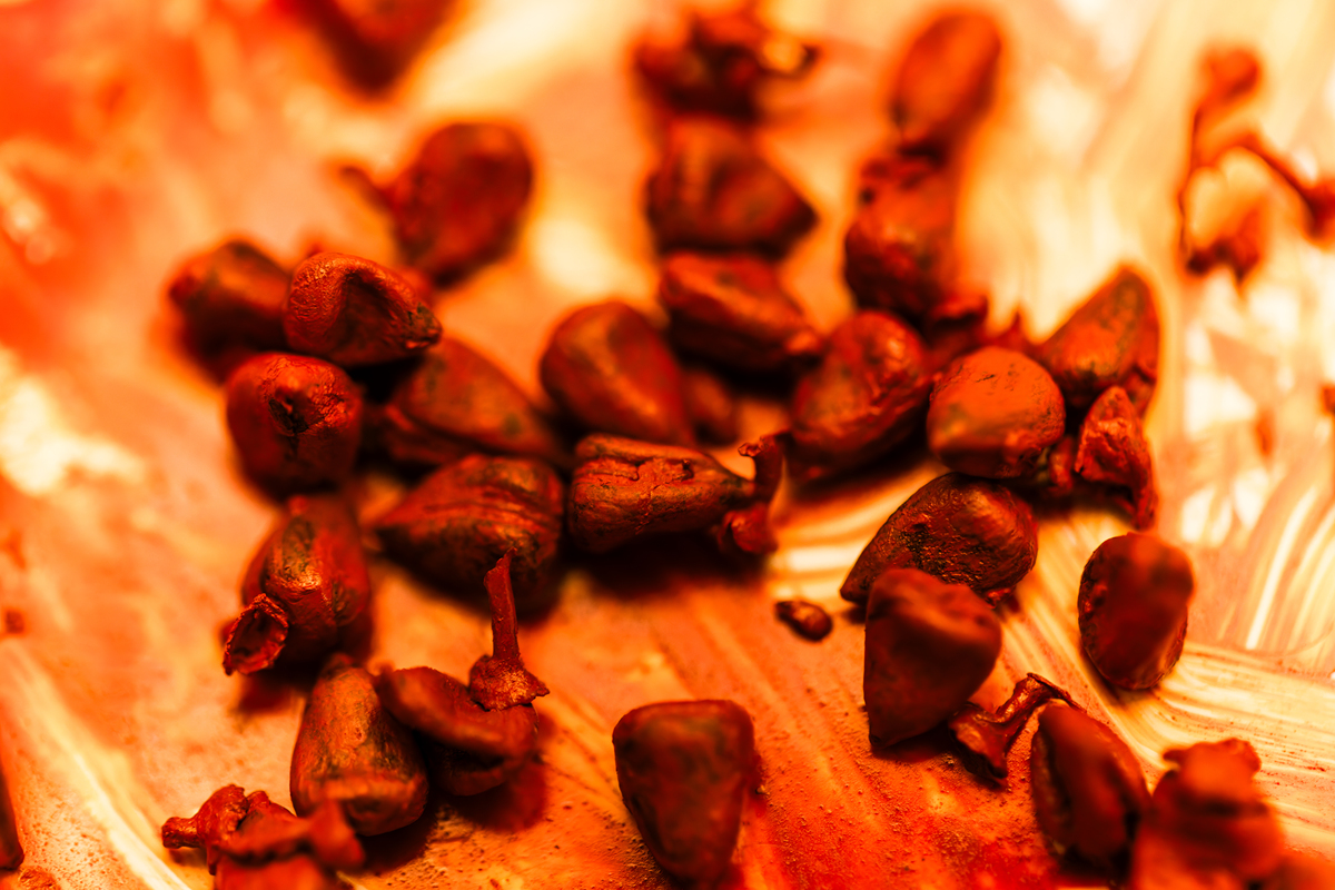 请将下列药物100克按炒黄要求炮制加工成合适的程度药物：山楂、白芥子、槟榔片、花椒、莱腋子药物选择王不留行、麦芽为和剩下的三个药材并写出相关的理论知识炮制目的操作方法和注意事项