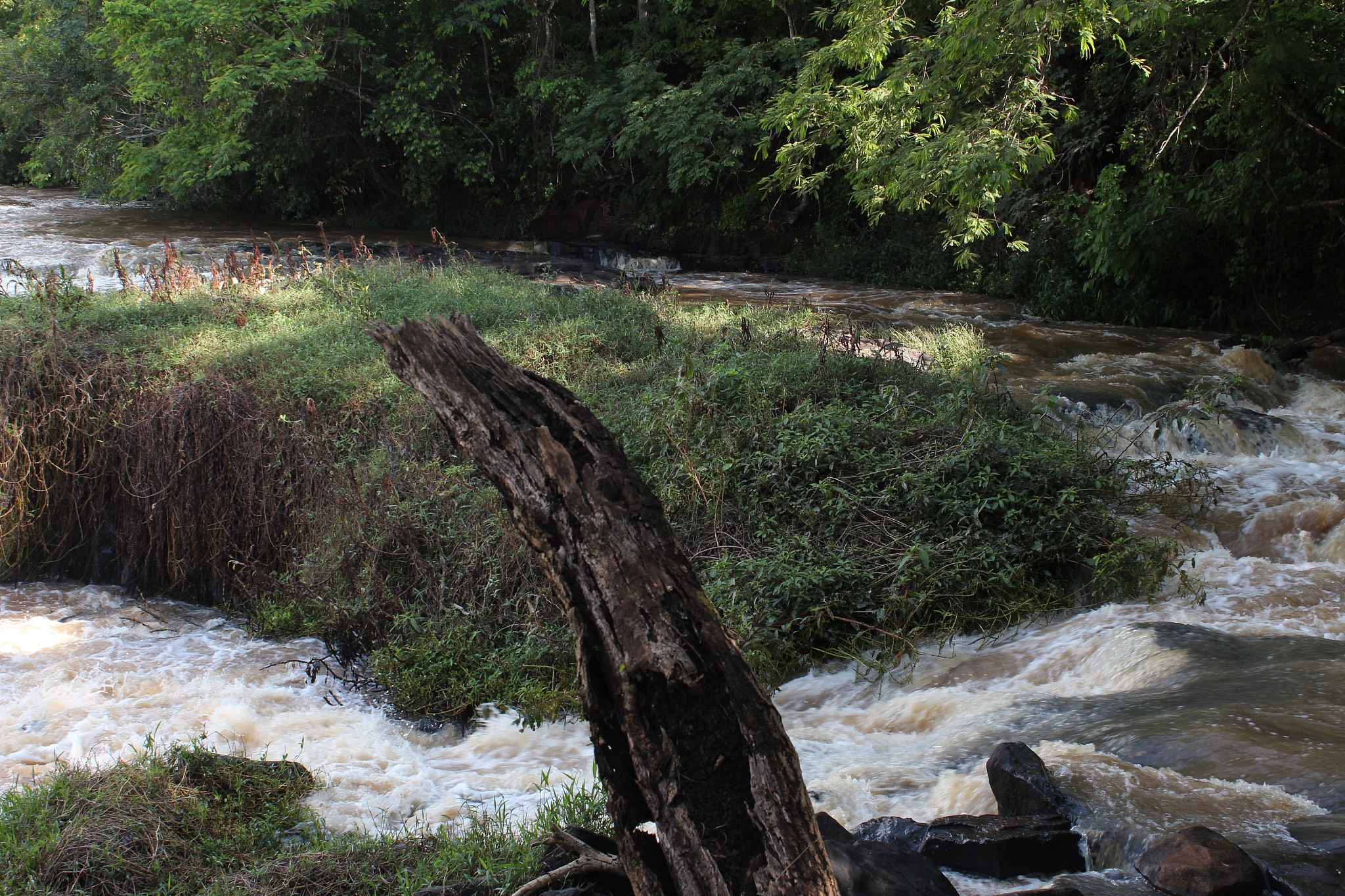 小溪流水响叮咚教学设计：自然课堂，感官体验与美育结合
