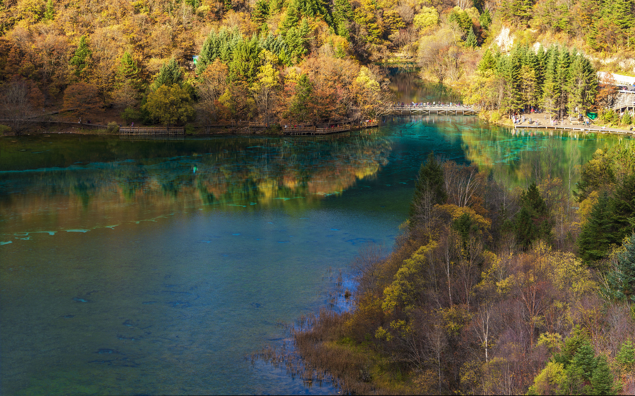 畅游四川，解锁绝美风光与地道美食🌸