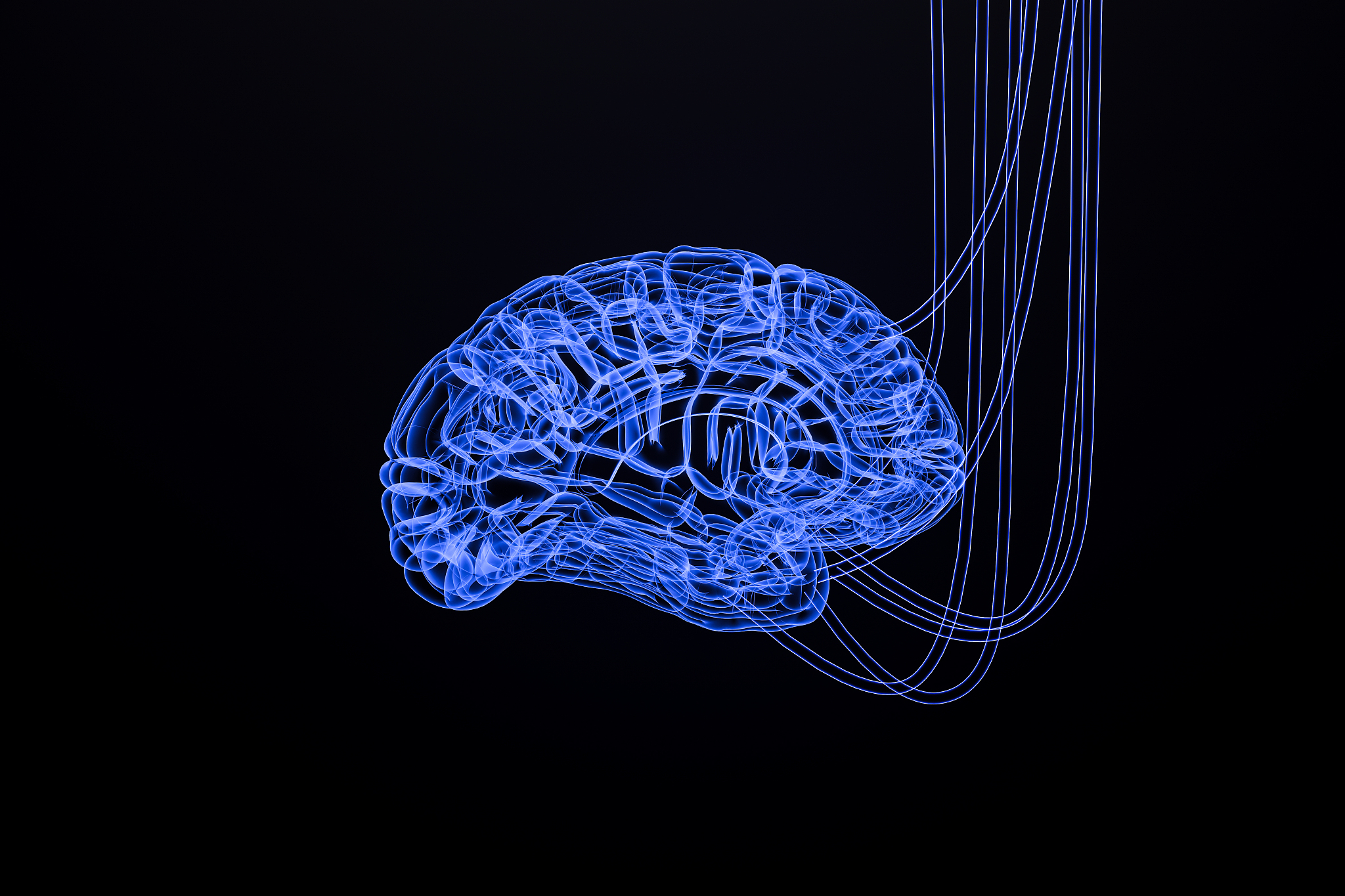 Frontiers in Human Neuroscience 期刊: 探索人类大脑的奥秘