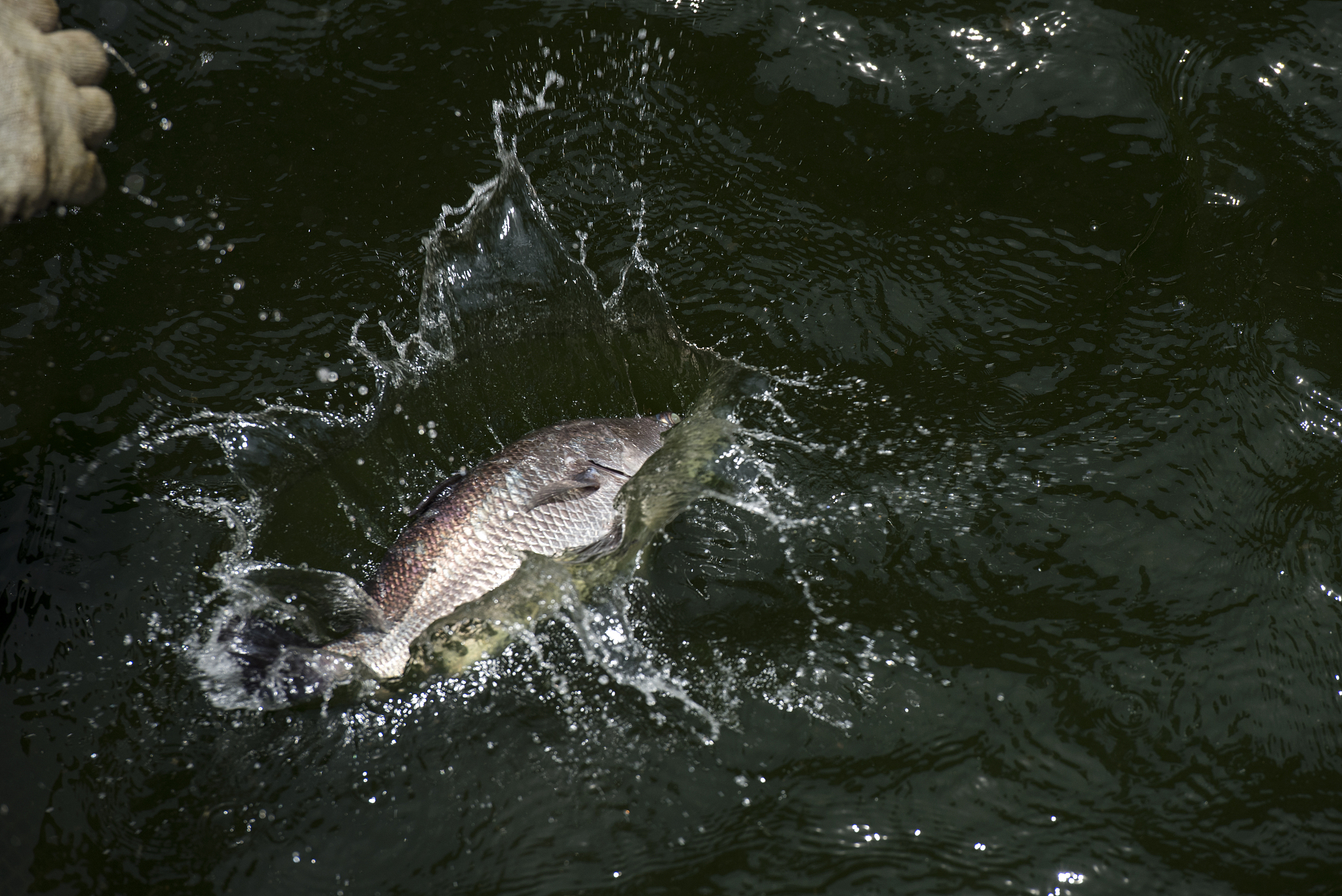 应对水产养殖场风险的主要措施