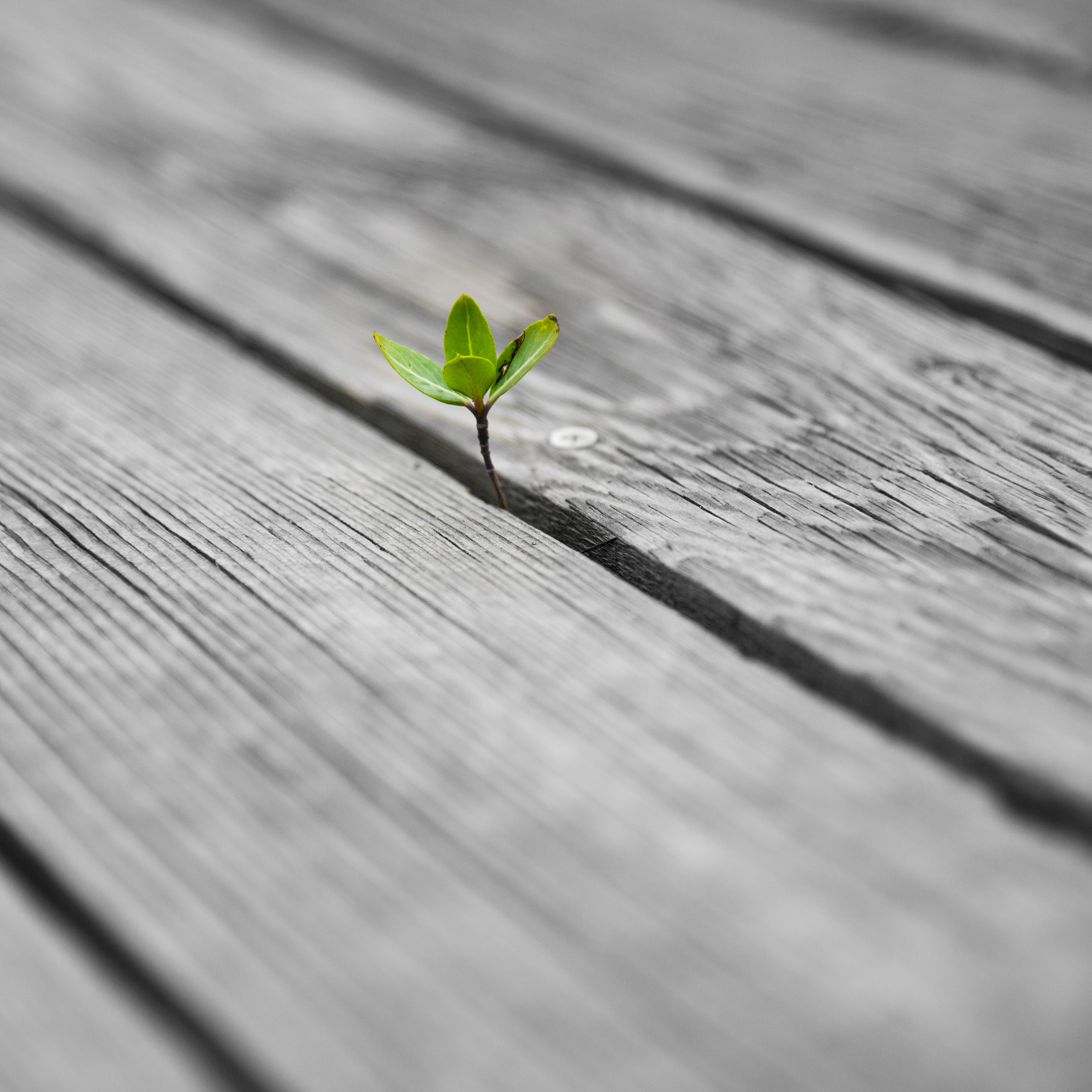 我们中的许多人读过有趣和令人兴奋的故事其中主角只有有限的生存时间。这些故事让我们思考想知道在类似情况下我们应该做什么。有时我认为像明天应该死一样过好日子会是一个很好的规则。这种态度会尖锐地强调生命的价值。我们应该以温柔、活力和敏锐的欣赏来度过每一天当时间在我们面前的不断全景中往往会失去这些。我们大多数人认为生活是理所当然的。我们很少想到它。我们做琐事几乎没有意识到我们对生活的无精悮的态度。同样的无
