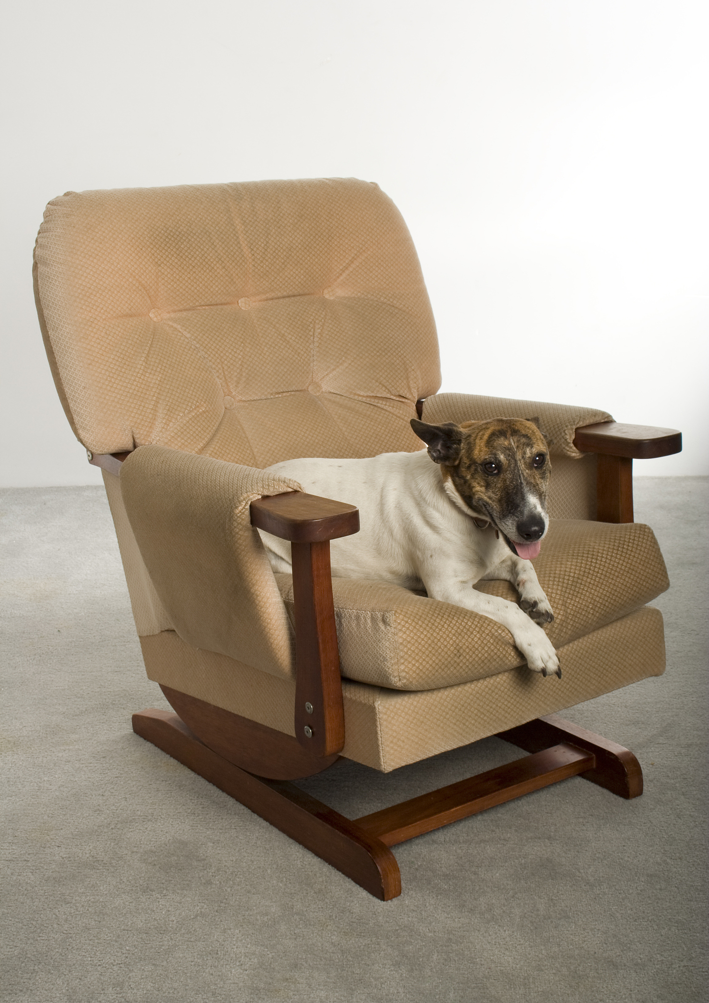 给我一个好评话术 形容狗狗椅质量很好性价比之王 这个小jiojiou 很可爱限制50字 带表情