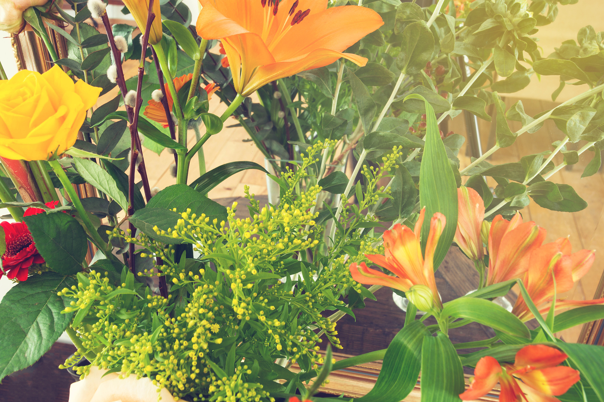 Spring Equinox: A Symphony of Nature's Beauty
