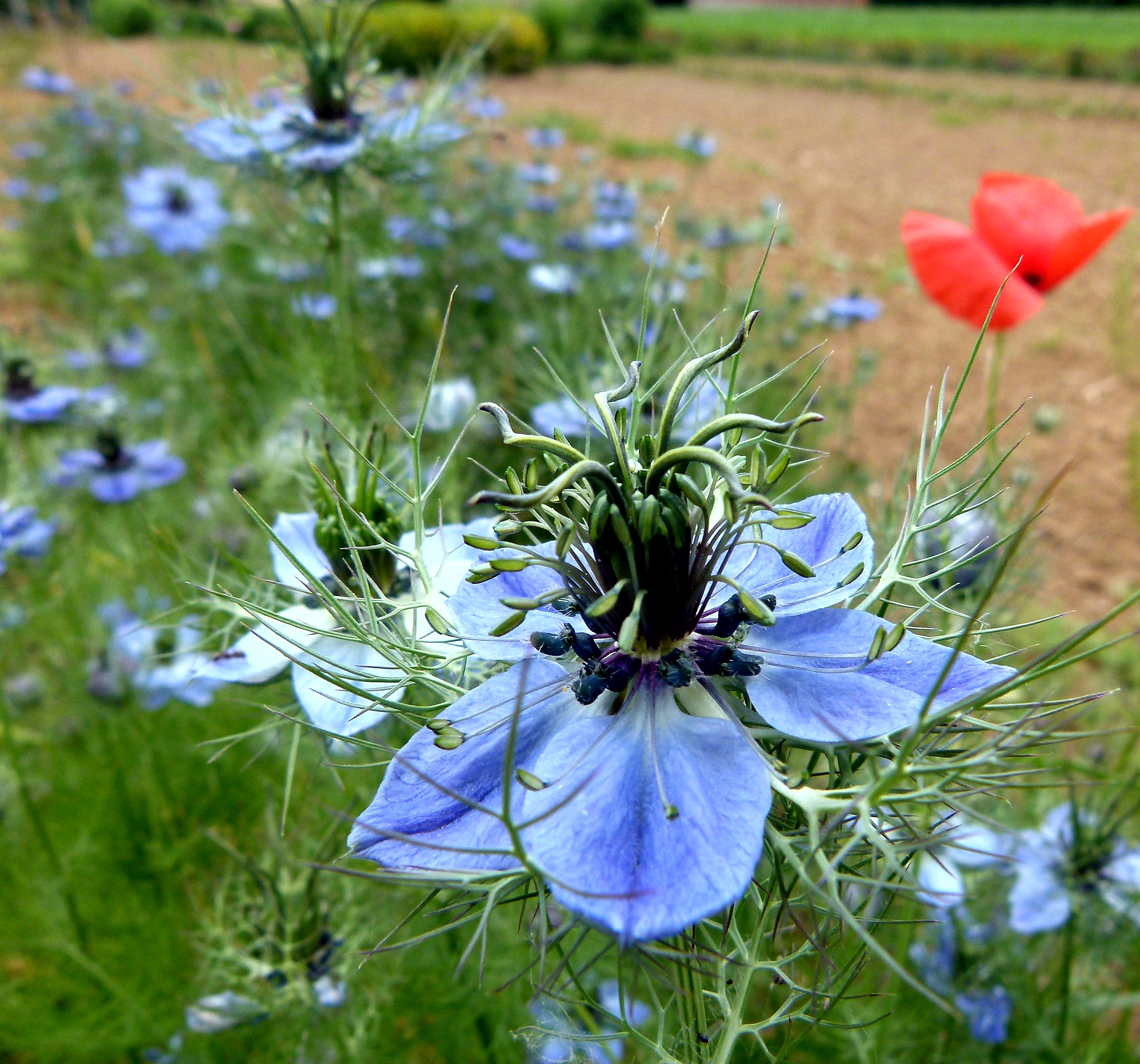 黄冈2022年哪些大专医学院校比较好？