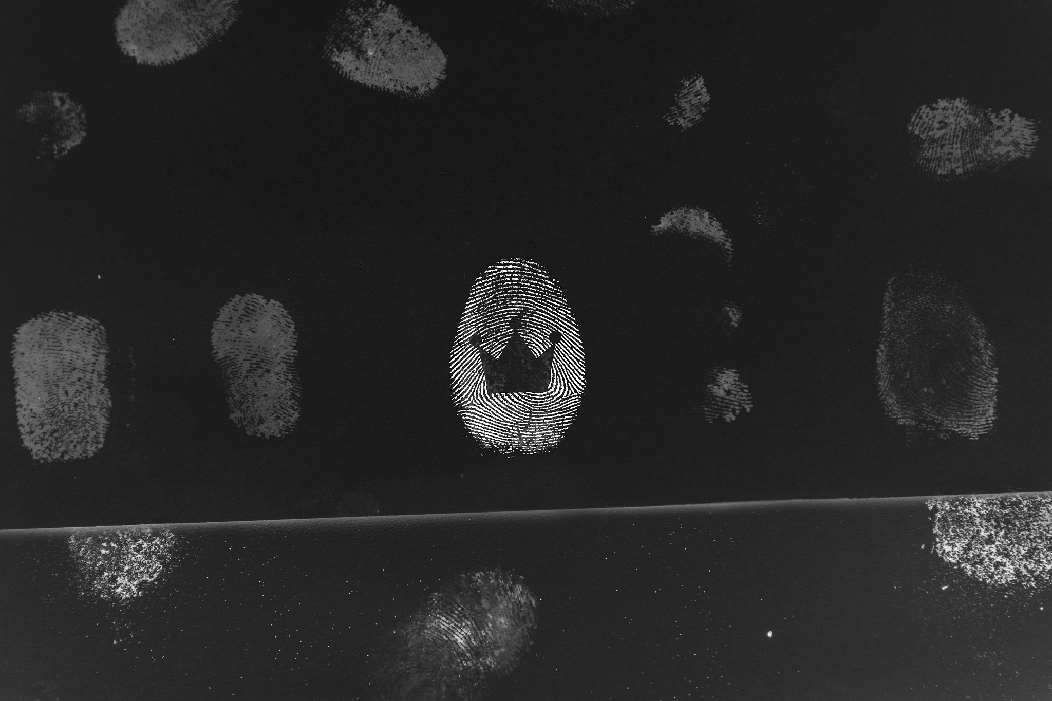 fingerprint