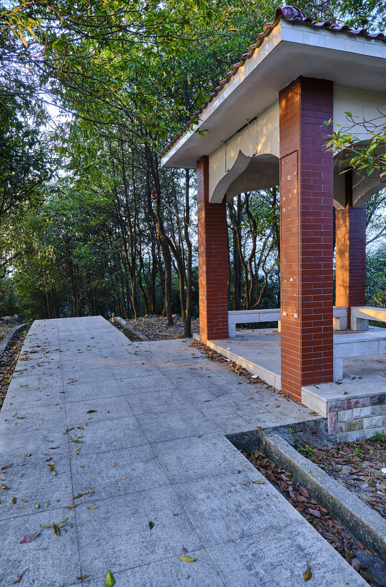 广州林业单位分布：海珠区、番禺区为主力