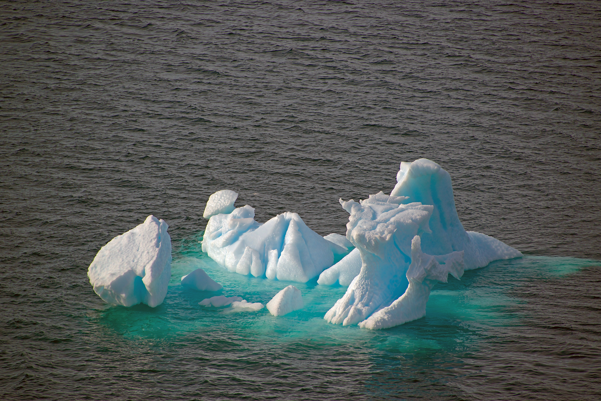 北极放大效应 翻译