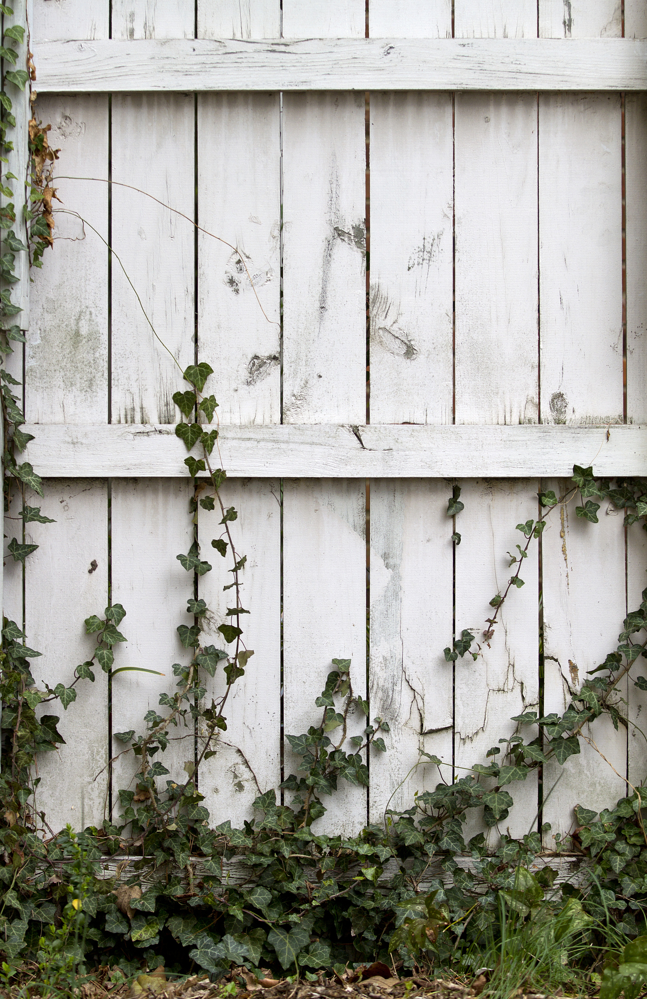 实践岗位：安全管理岗位实践单位：西安舞尚艺舞蹈培训学校有限公司实践内容：一学习单位安全管理制度、二学习典型安全事故及分析、三安全隐患排查及建议请根据上面内容总结本次实践的收获主要实践中所学到的知识、对自己工作的意义、积累的经验等等。写成一段话格式不少于1000字。