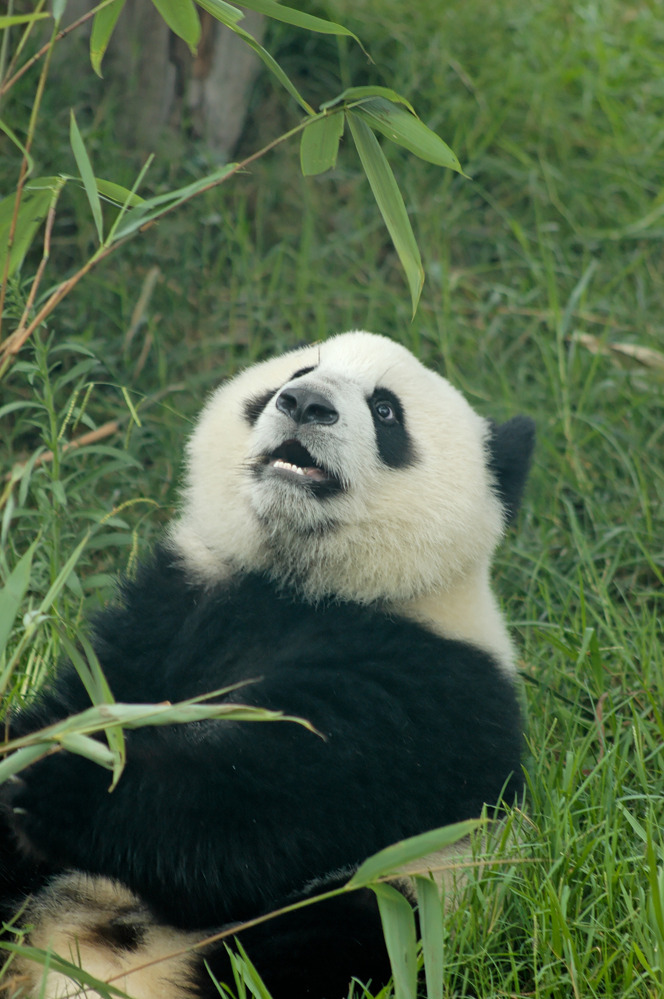 四川2022年就业最好的中专学校有那些