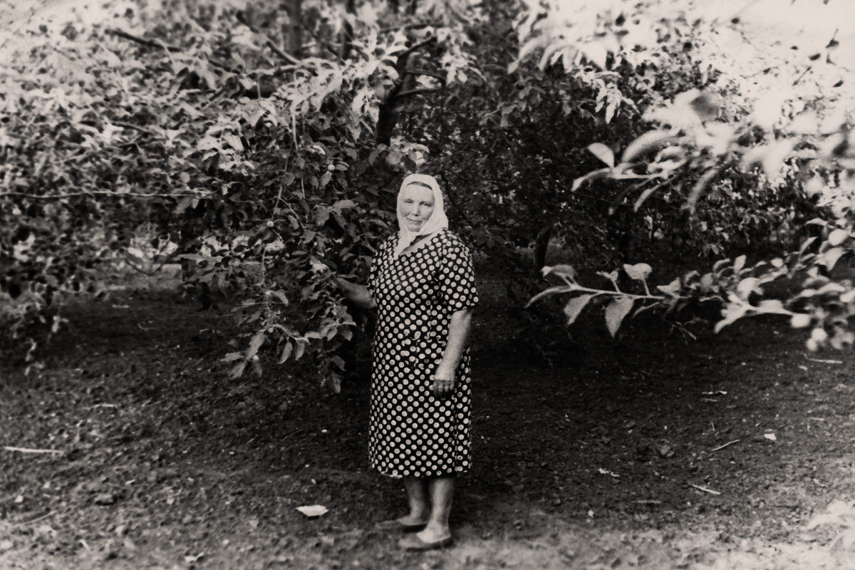 Relevant Literary Theories and Critical Perspectives in Comparing 