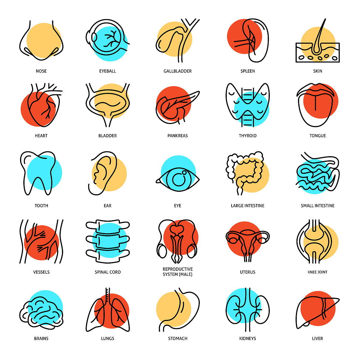重庆市育才职业教育中心畜牧兽医专业都学些什么