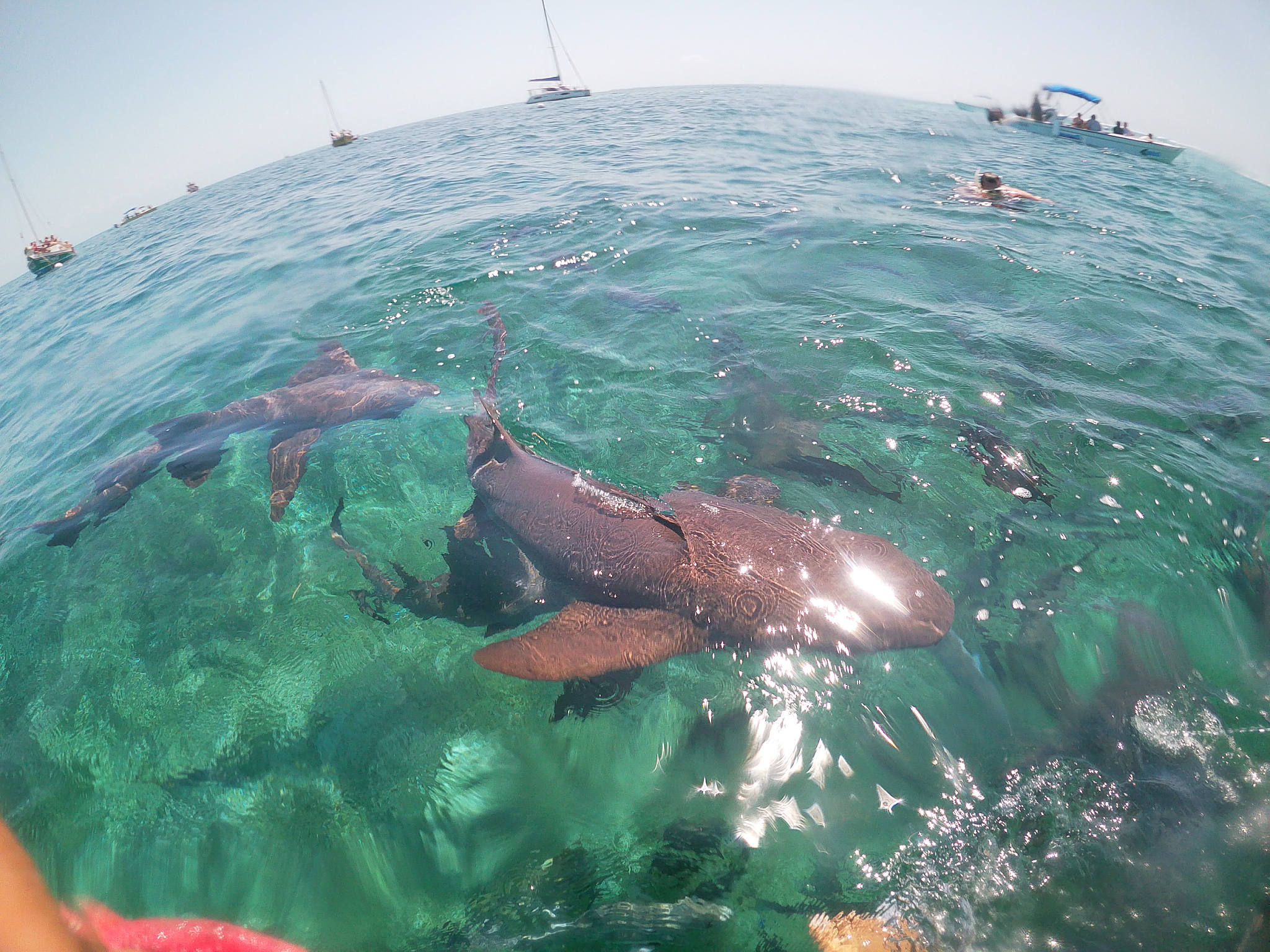 海洋地质资源与地球科技：探索、开发与保护