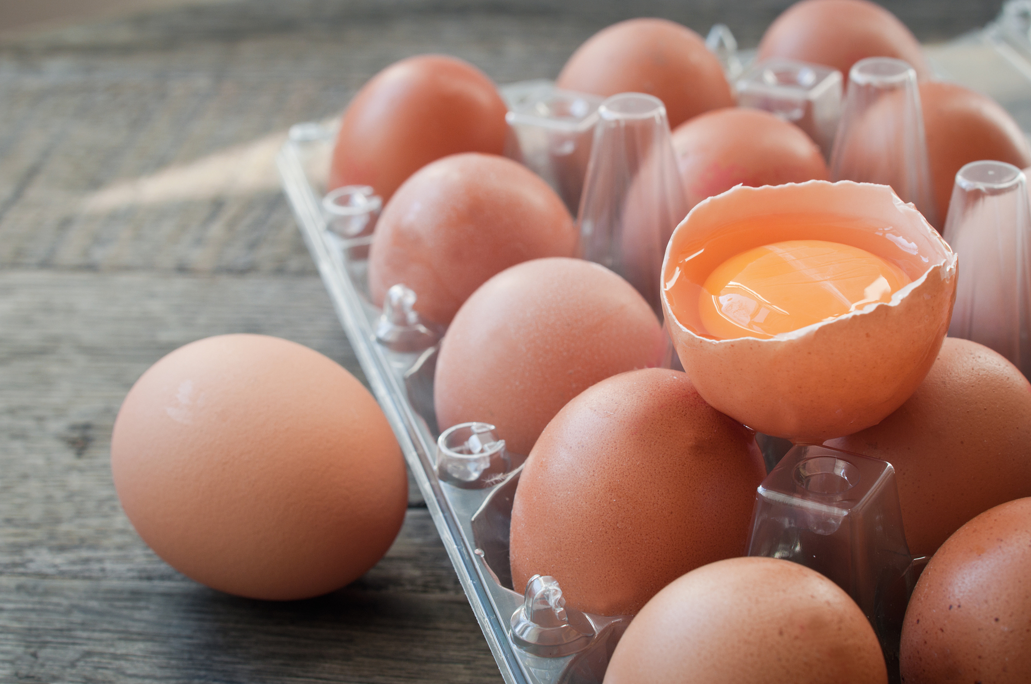 fresh free range eggs