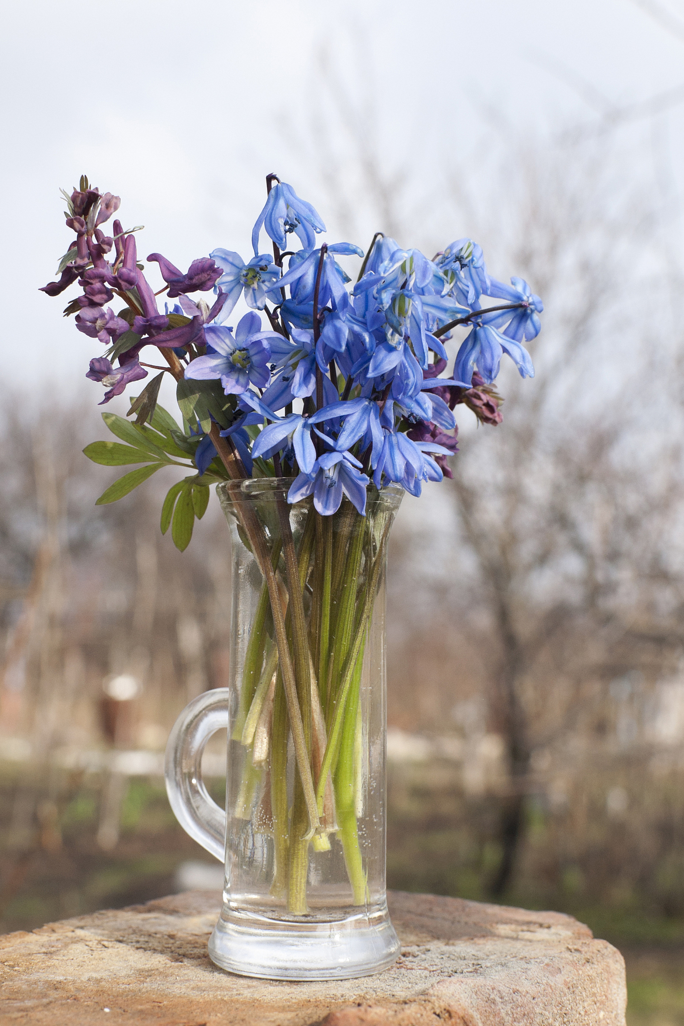 small bunch of spring in the garden