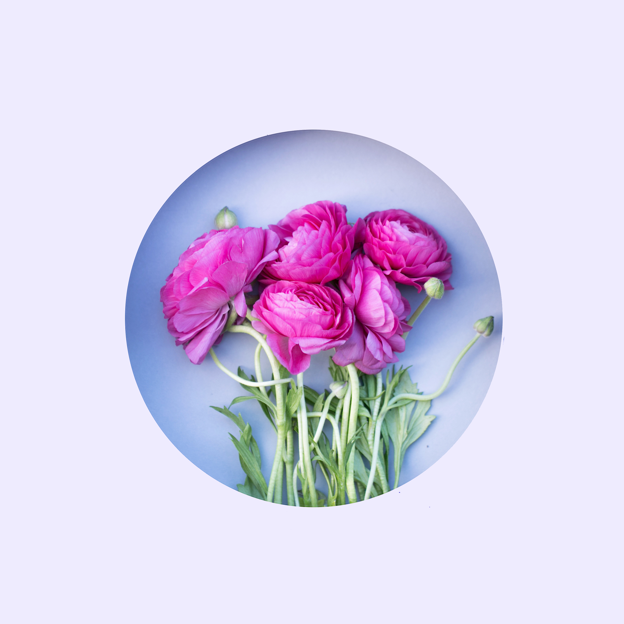 从靠脸吃饭到靠嘴吃饭：我的逆袭之路