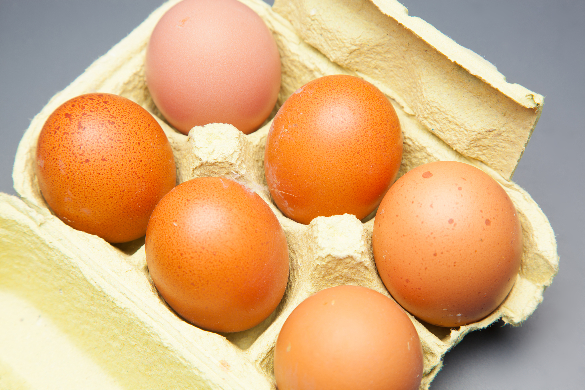 fresh chicken eggs