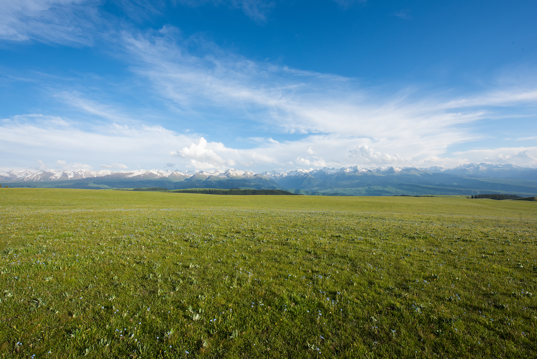 草原修复的效益：生态、经济、社会多重价值