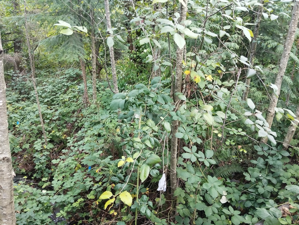 自然风光