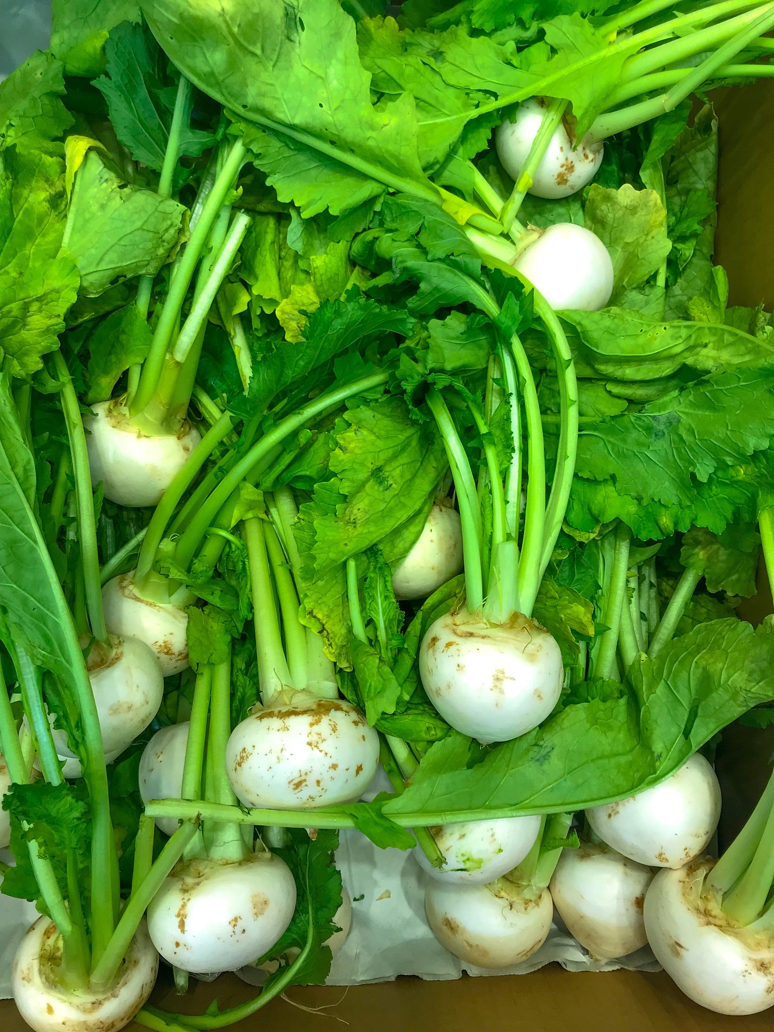 广西医科大学生物技术专业就业前景分析