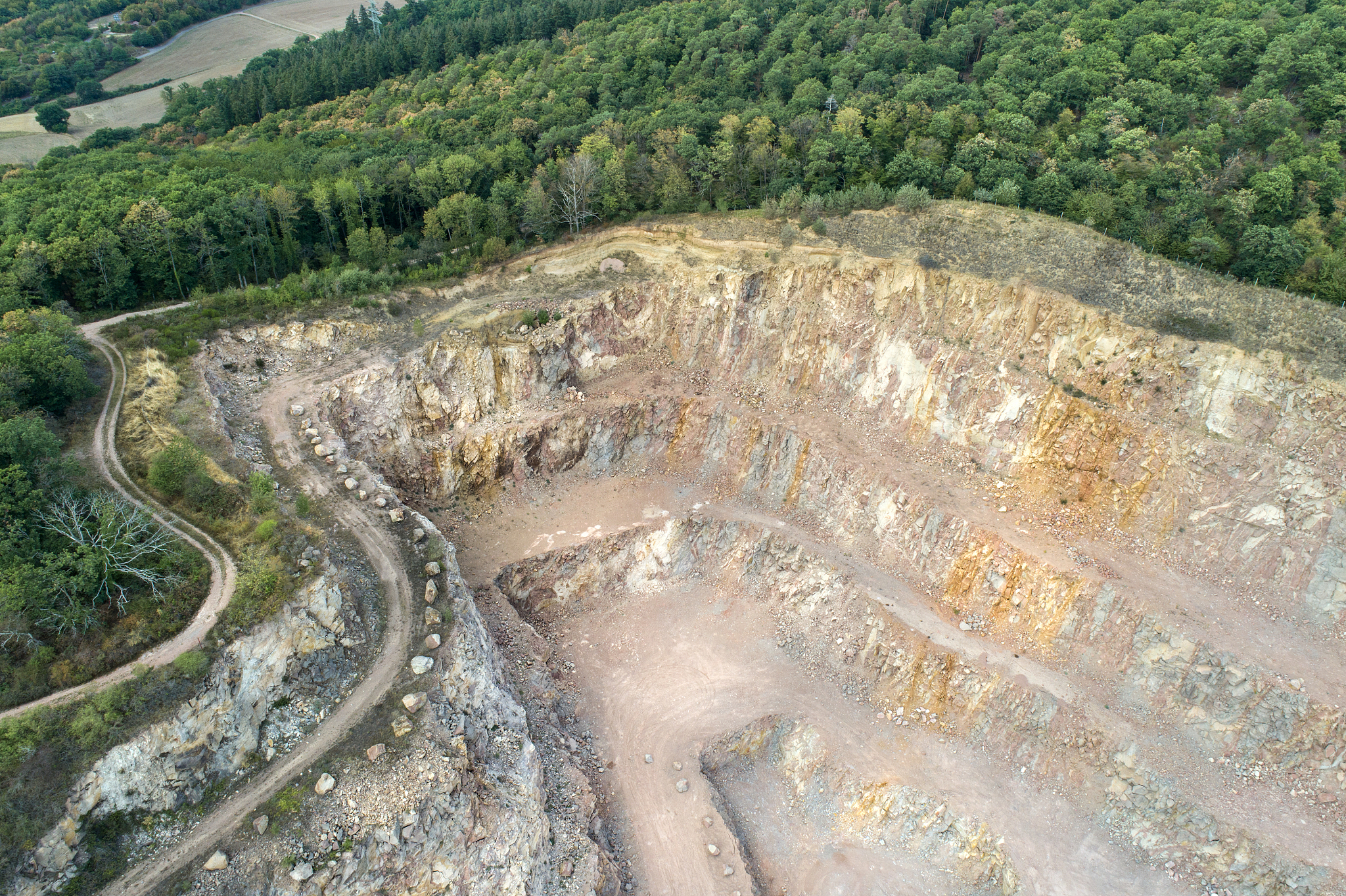 森林采运工程专科专业怎么样？