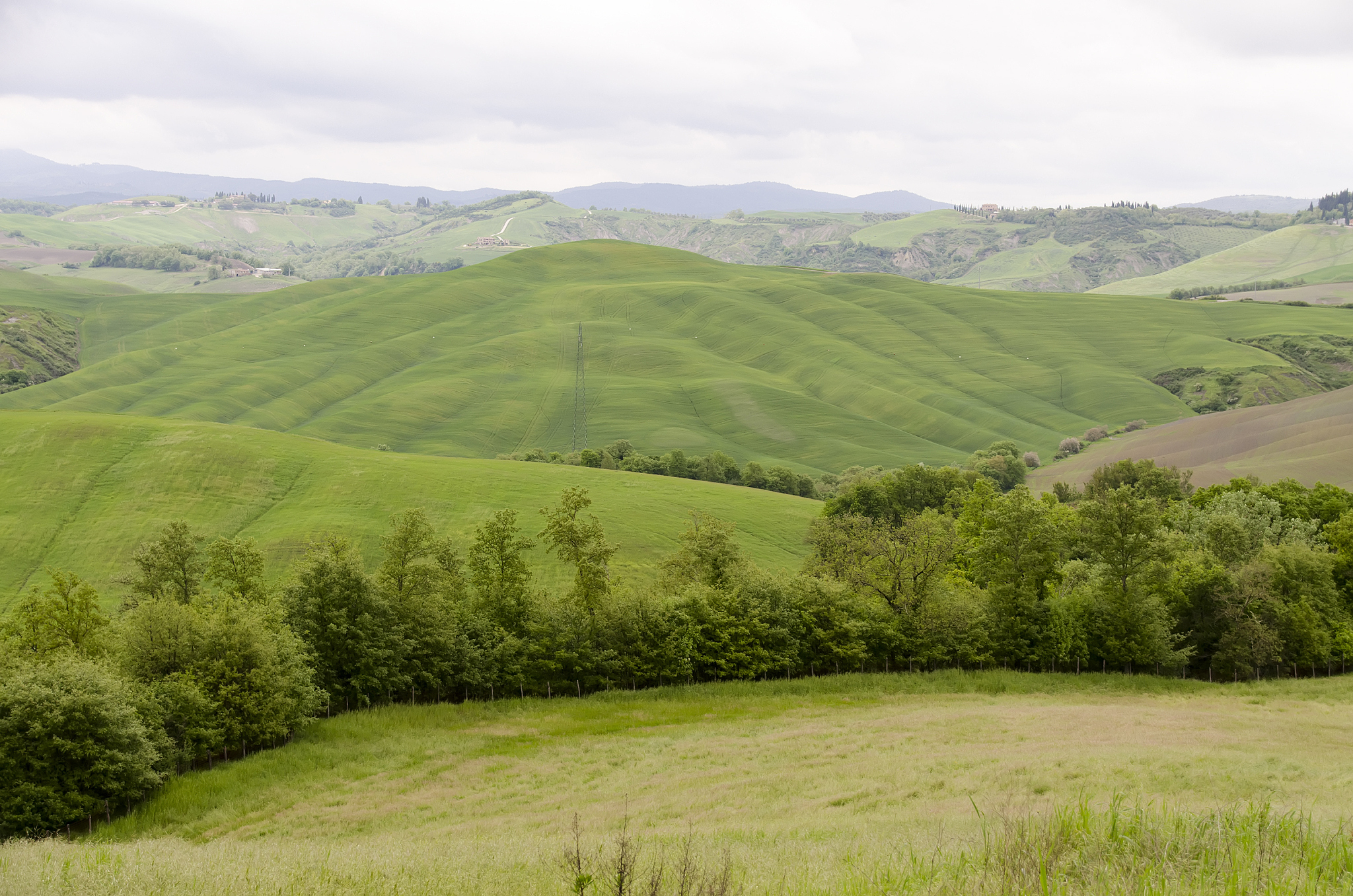 landscape of tuscany