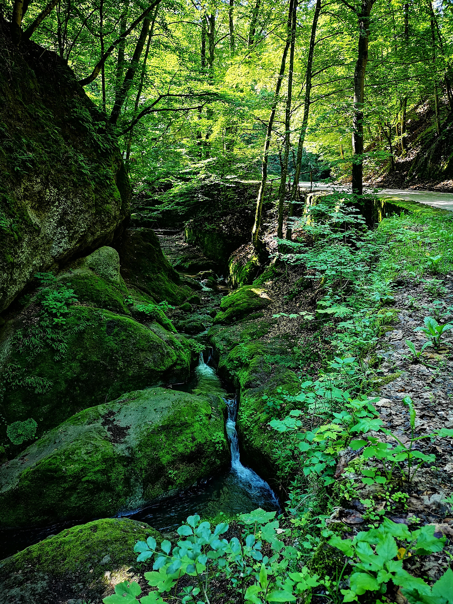 雨后山行：探寻青山妩媚之境