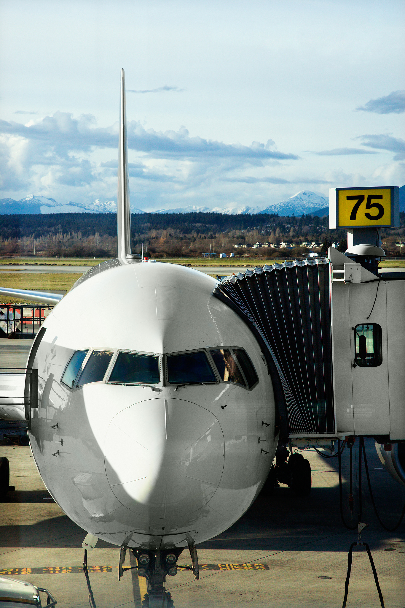 合肥信息工程学校航空服务专业怎么样？就业前景及发展方向