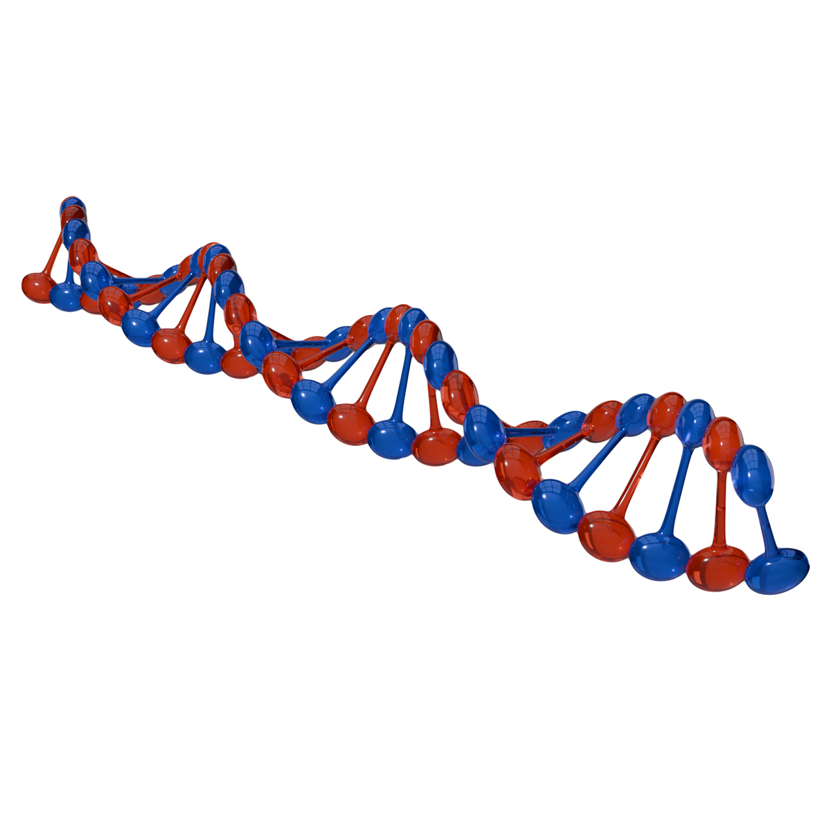 预测外膜蛋白脂锚定位置：ES面还是PS面？
