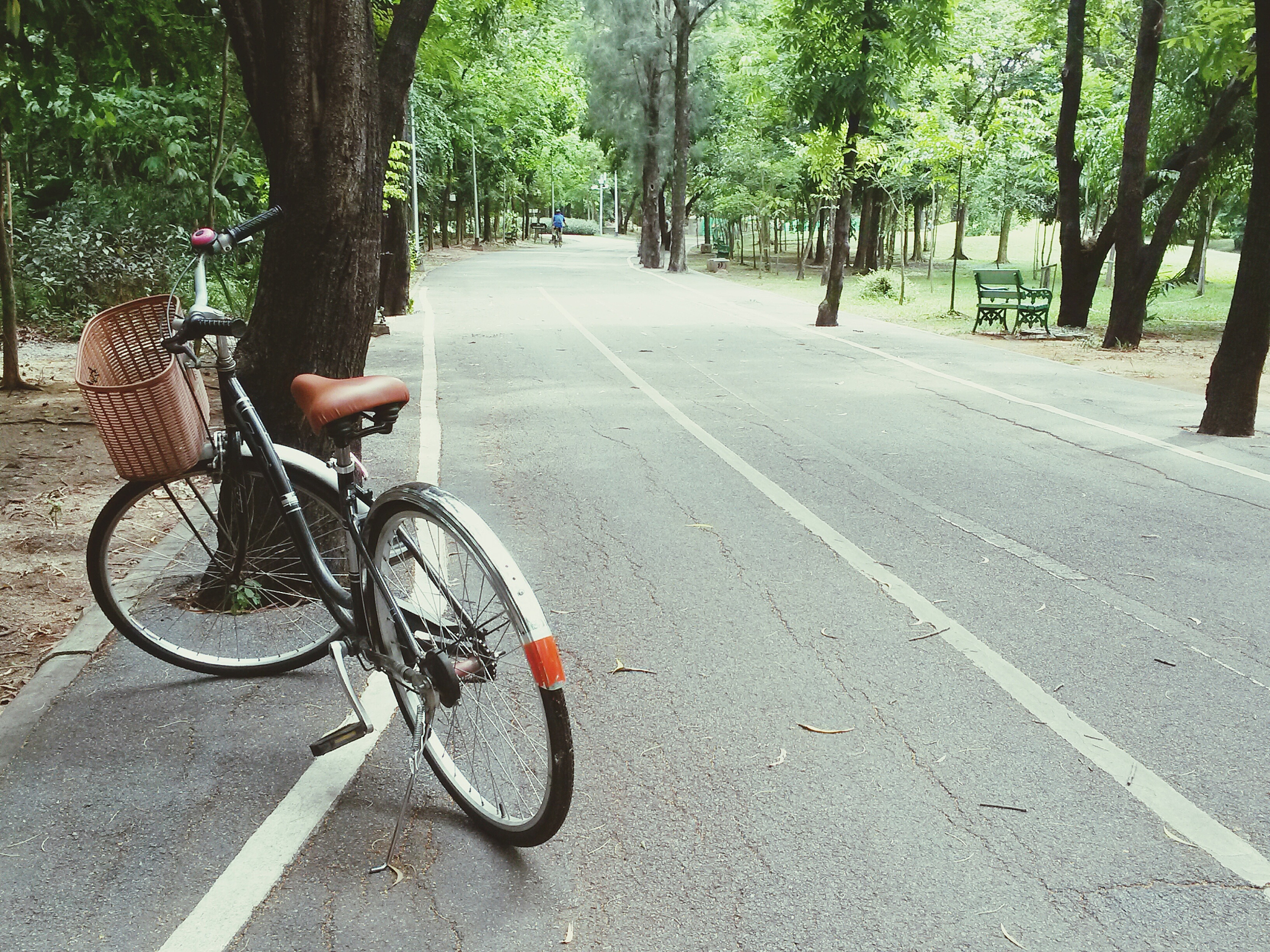 请以第一次为题目写一篇600字左右的记叙文