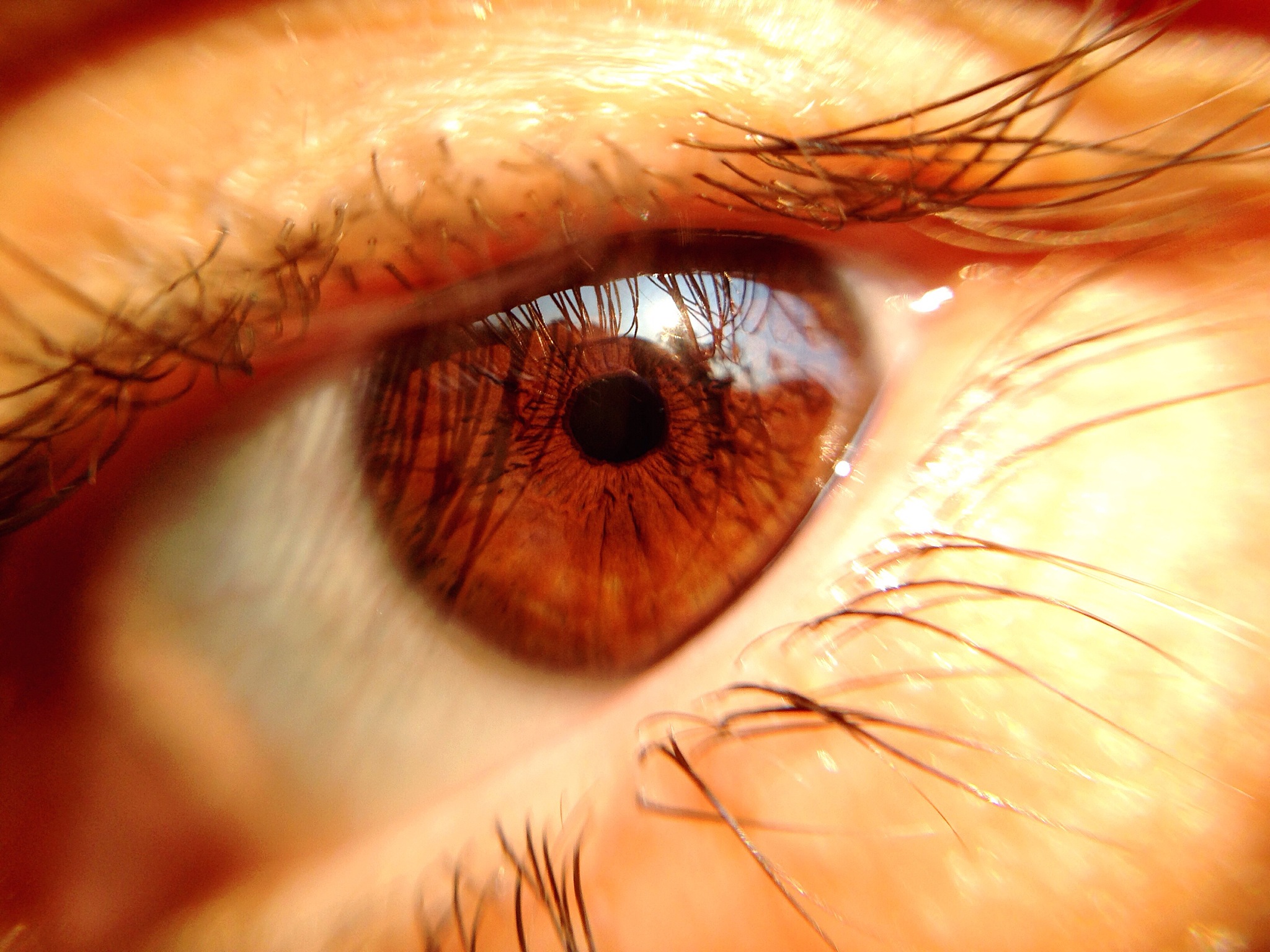 extreme close up portrait of woman eye
