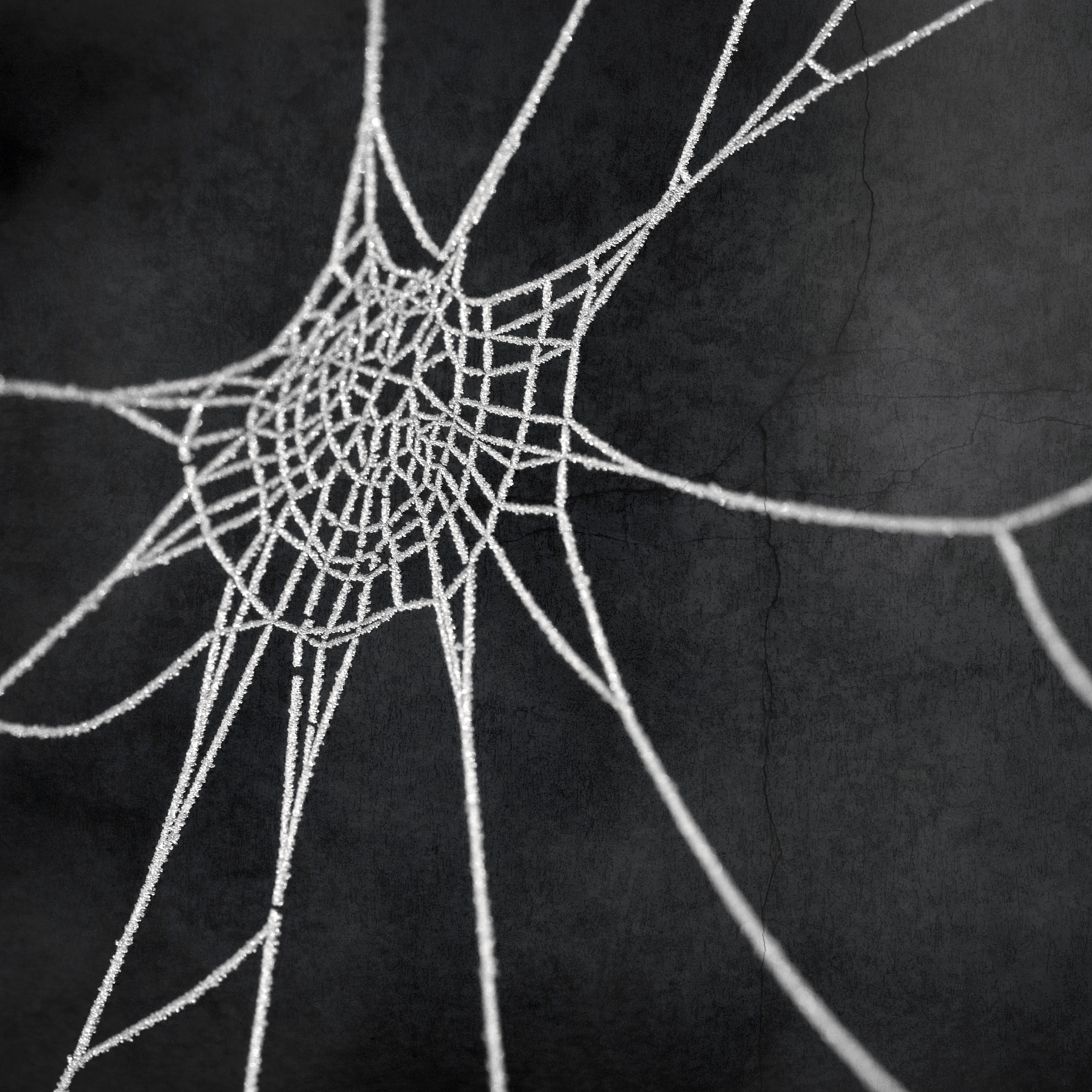 httpsmpweixinqqcoms_TdJAcx6IvB3SlhHr9-8aA通过这个链接内的新闻请重新写一篇科普文章