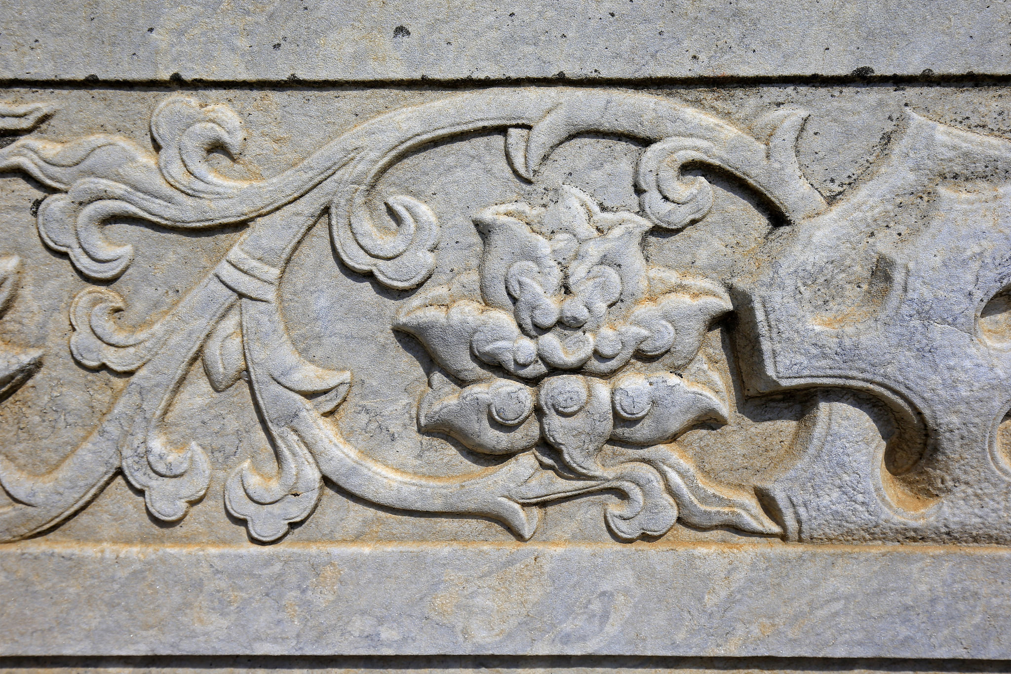 天津大学湖南美术考生用发散性