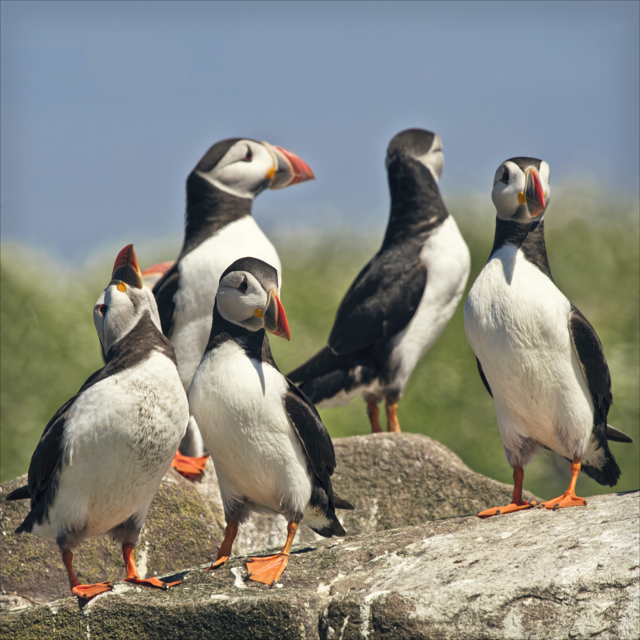 英文语法解析：'Ones' 的用法和含义