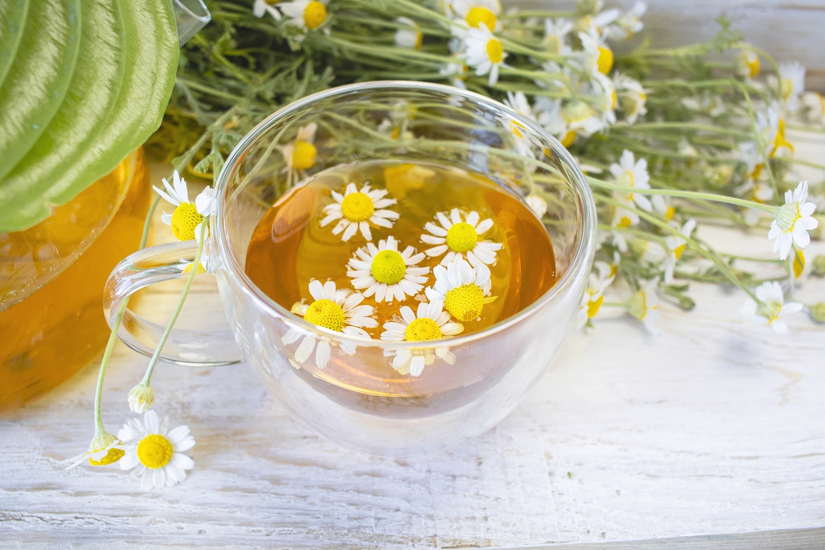 胎菊杞子茶的做法 - 轻松制作健康茶饮