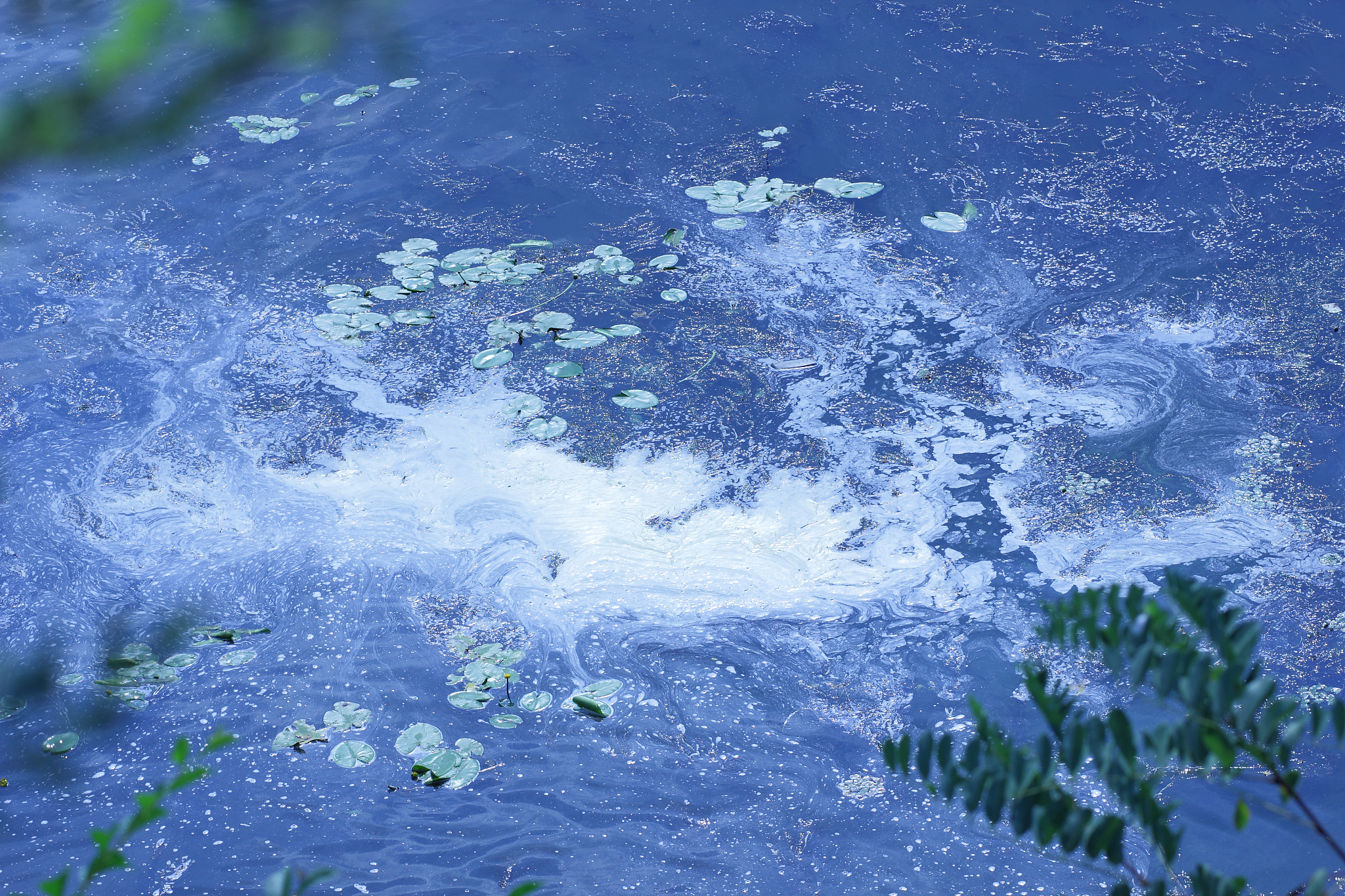 生物棲地模型