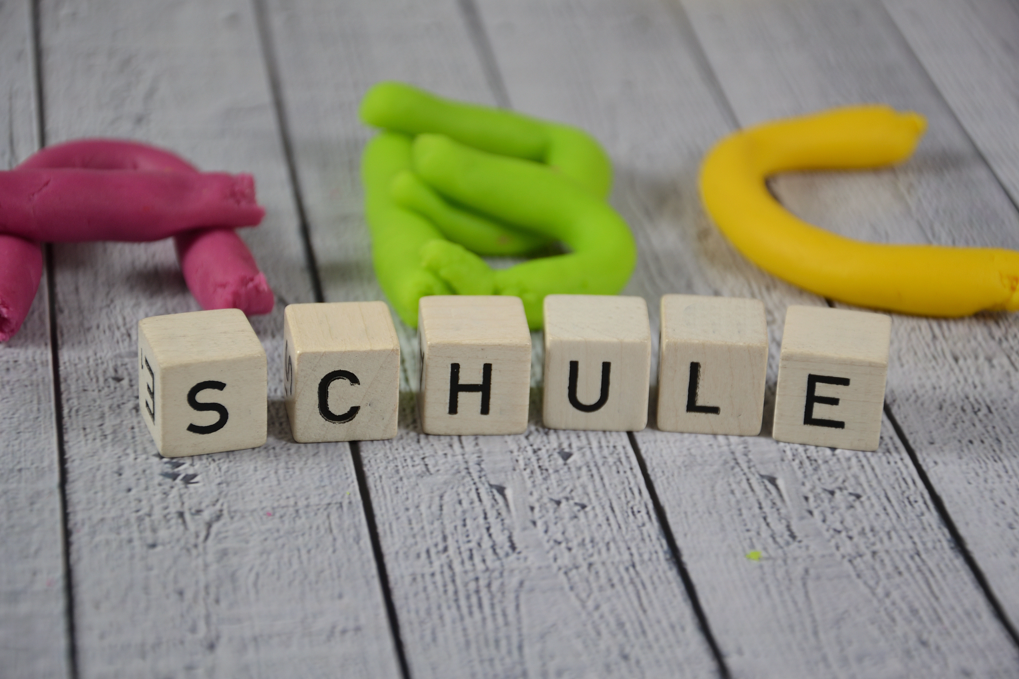 school