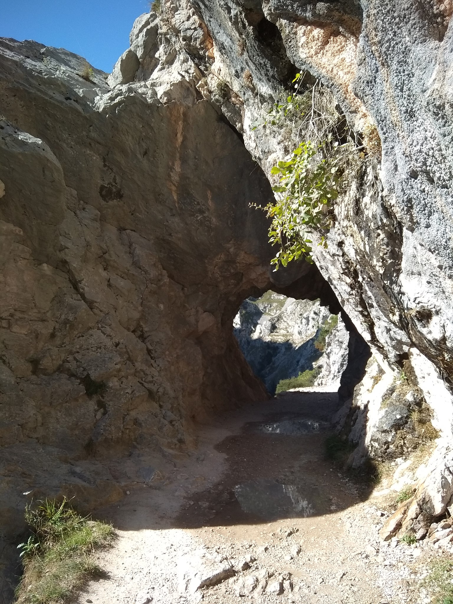 翻译：内河水路运输具有承载量大、单位成本低、占地资源少等比较优势在我国综合交通运输体系中占据了重要地位。在生态优先、绿色发展理念指导下航道资源的优化配置和综合高效利用已成为水路交通运输行业重点关注的主题之一。面向多源异构的通航要素亟需揭示其时空演化特征和趋势构建多因素耦合的航道通过能力评价体系与计算模型为内河水运高效开发利用奠定理论基础。本文以内河航道通过能力模型为目标研究了典型通航要素时空演化建