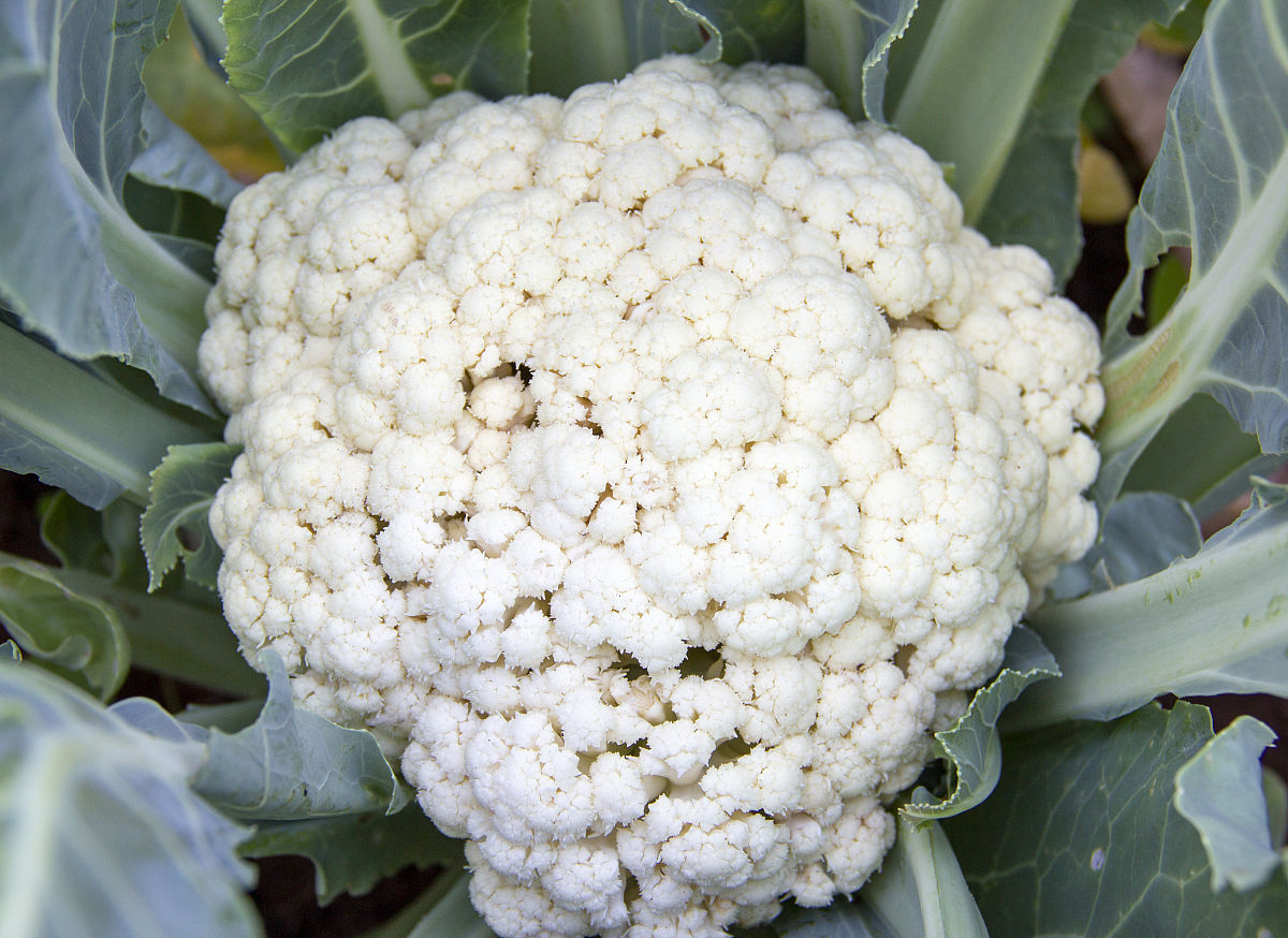 陕西省农业机械化学校2021年招生简章 - 培养农业机械化人才，助力农业现代化