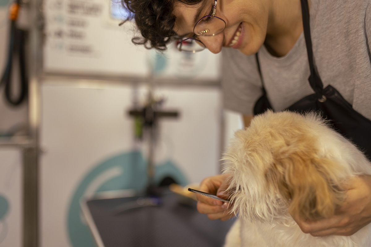 重庆市荣昌区职业教育中心宠物护养与经营专业怎么样？好学吗？