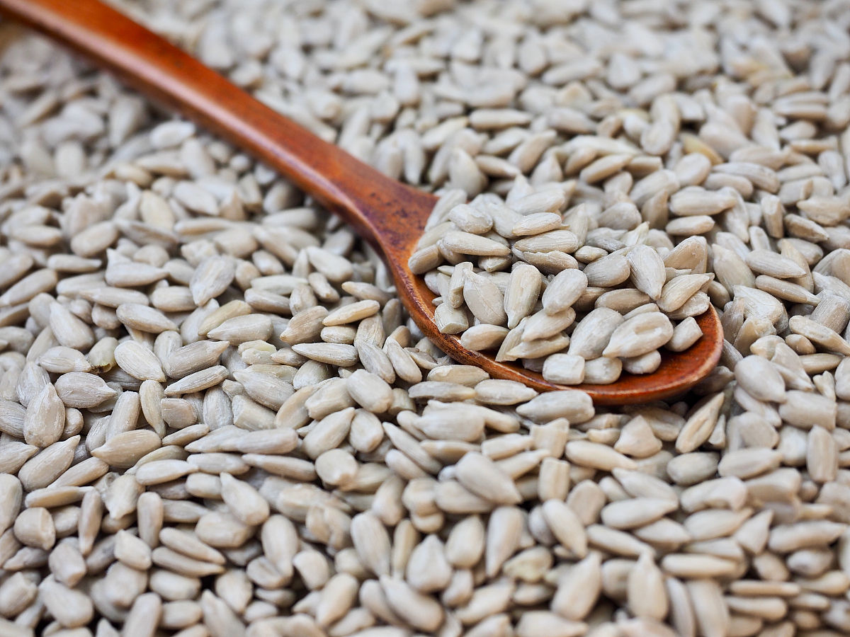 青岛烹饪职业学校2023年招生简章