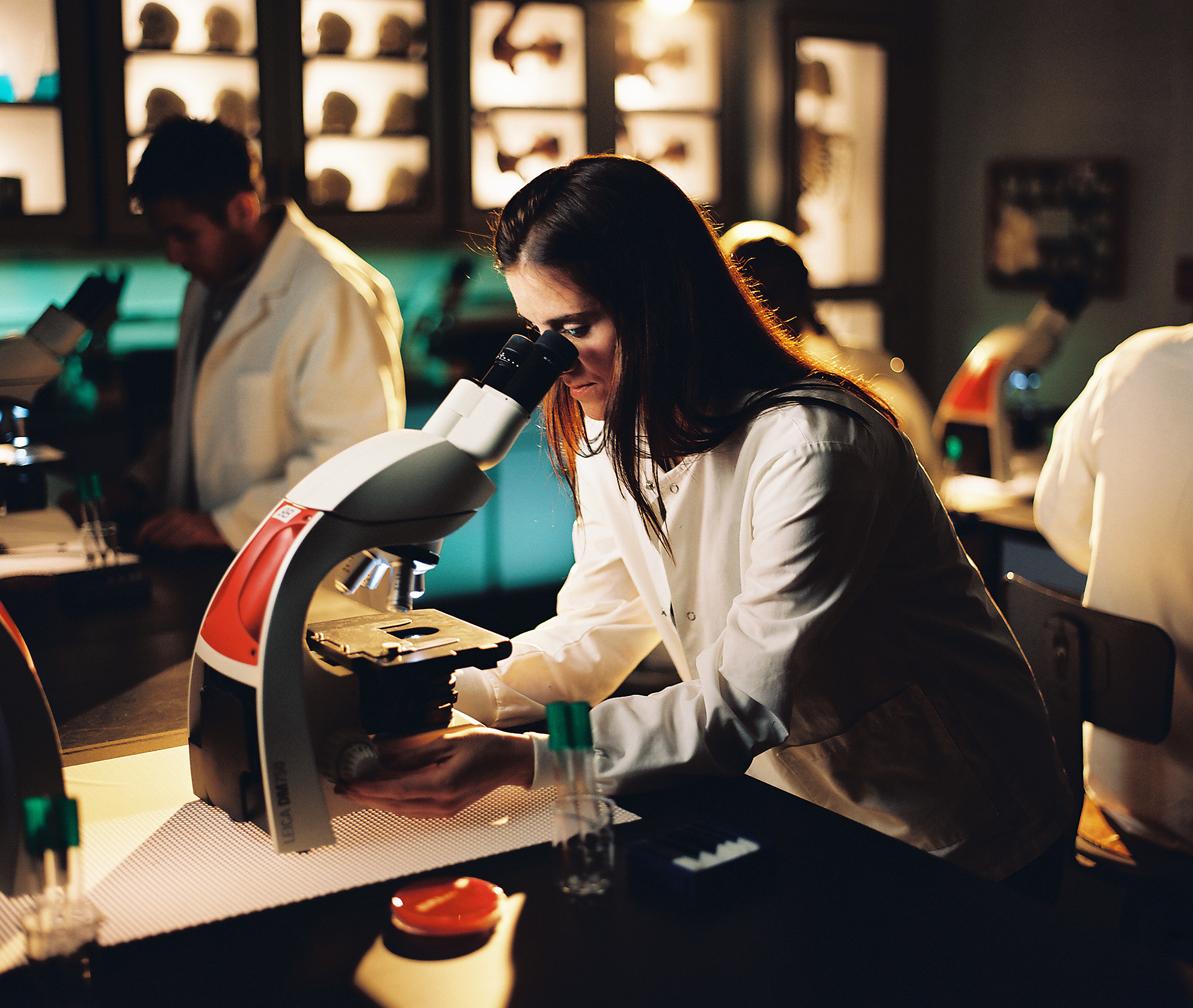 相位对焦算法：提高图像清晰度和对比度的技术